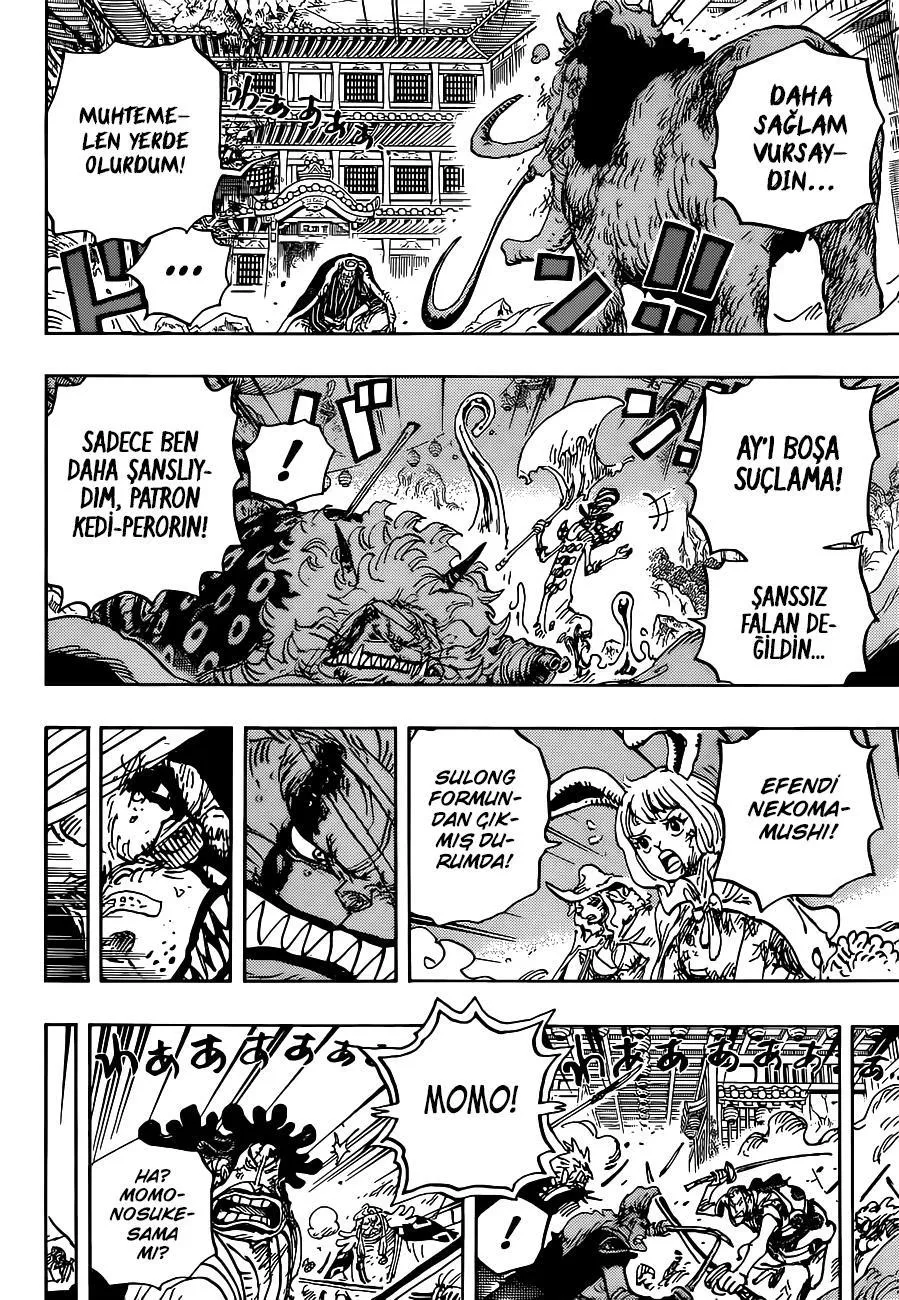 One Piece - Sayfa 11