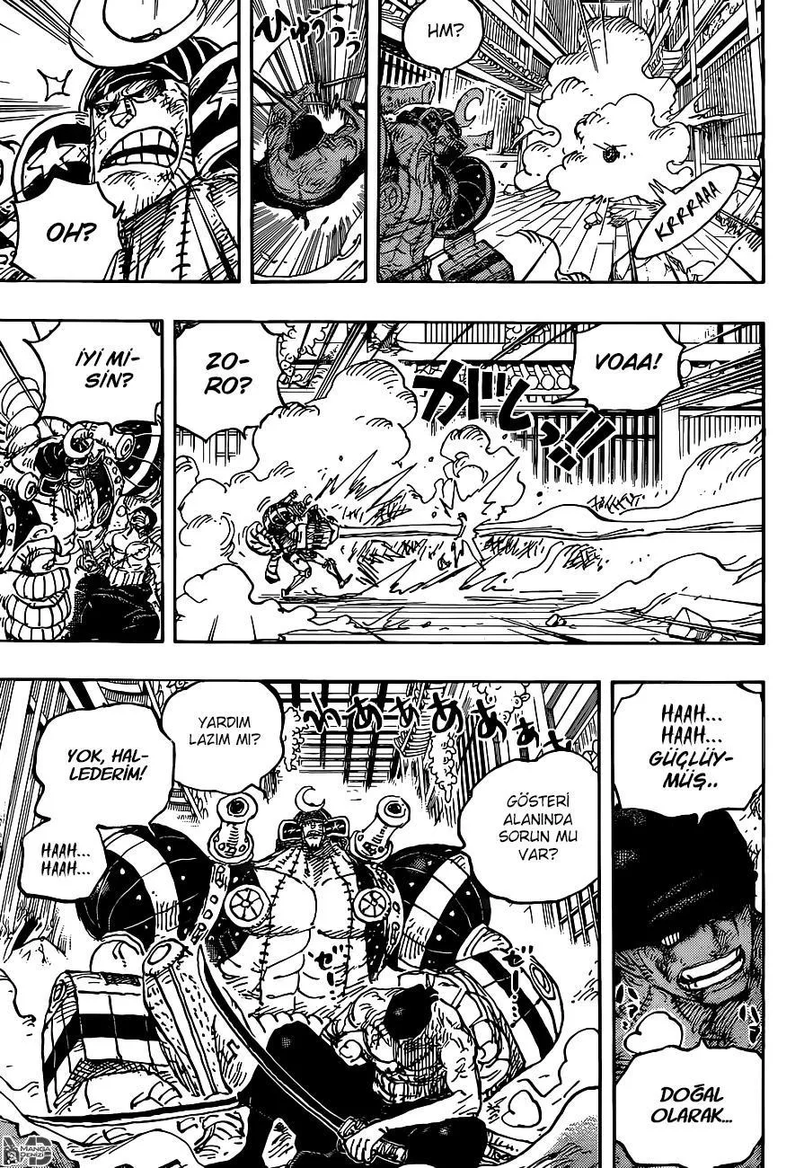 One Piece - Sayfa 14