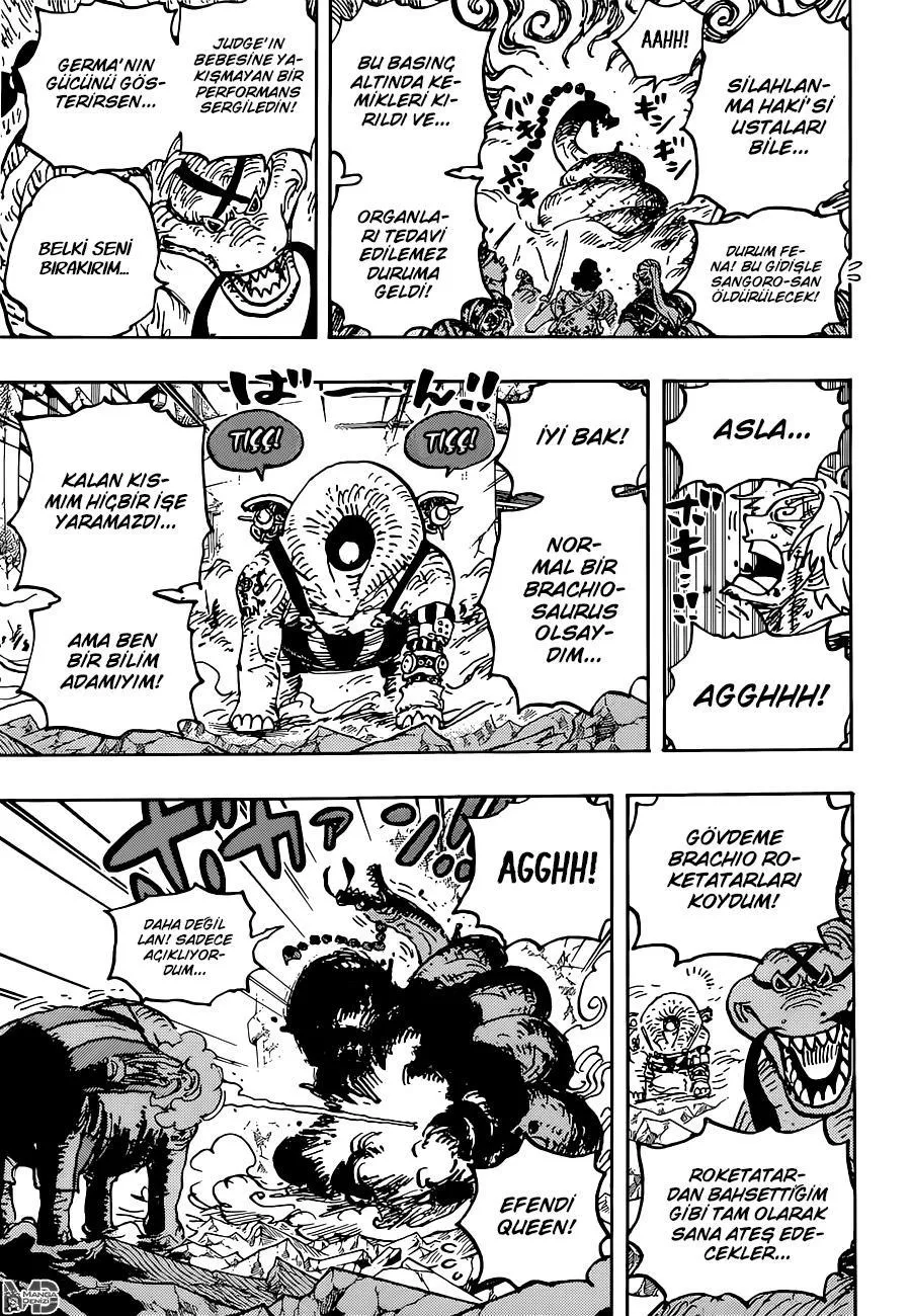 One Piece - Sayfa 15