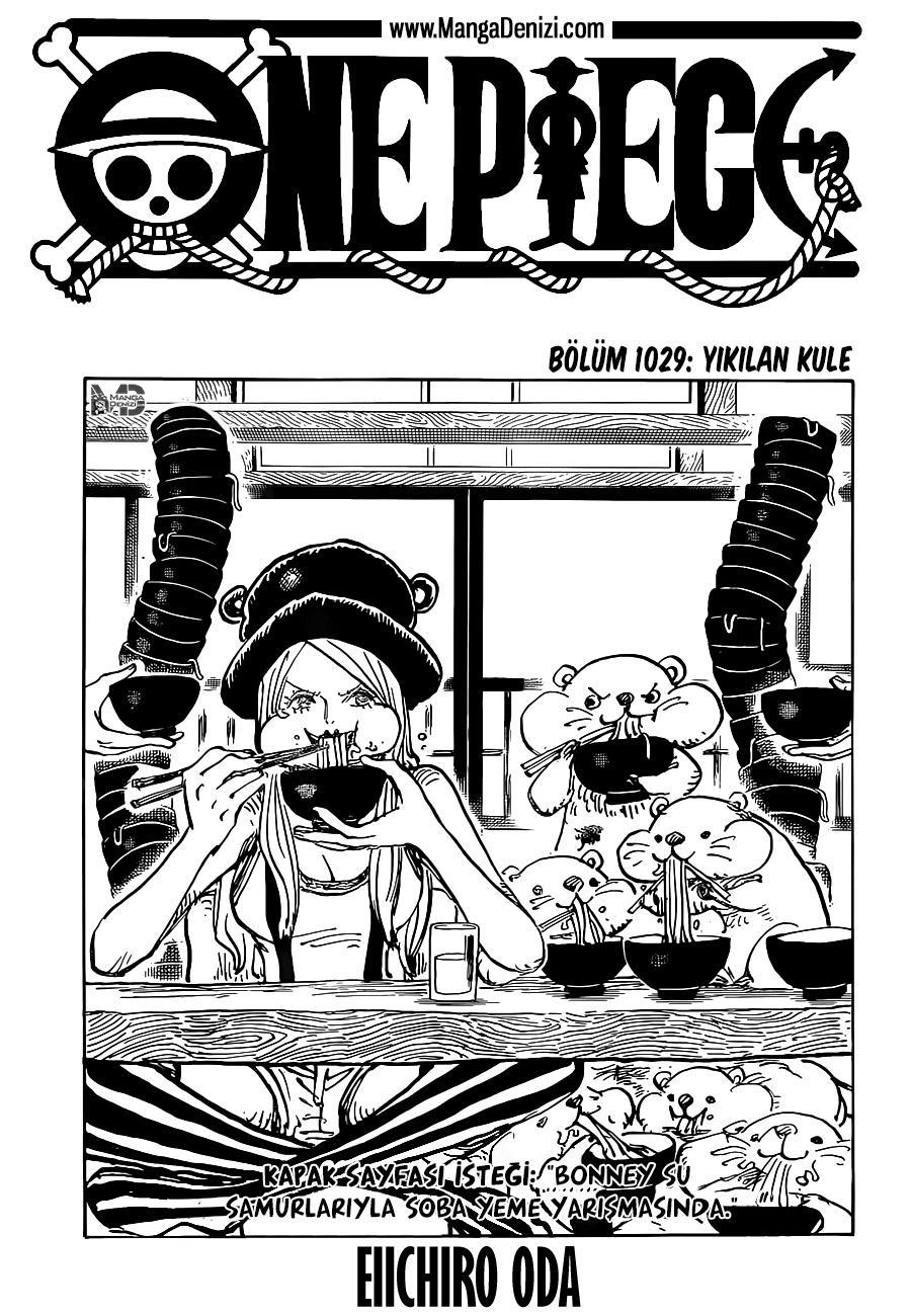 One Piece mangasının 1029 bölümünün 2. sayfasını okuyorsunuz.