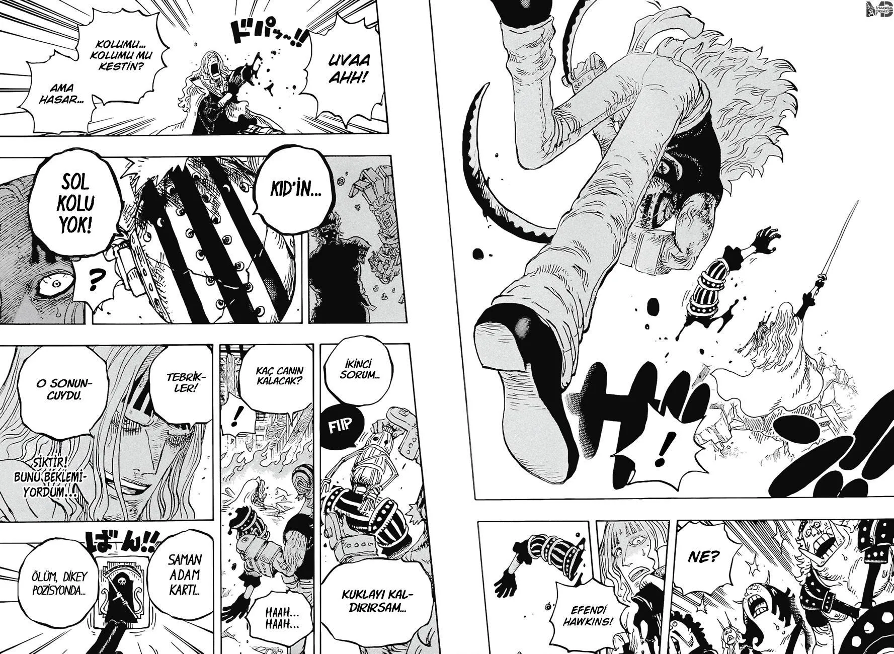 One Piece - Sayfa 13