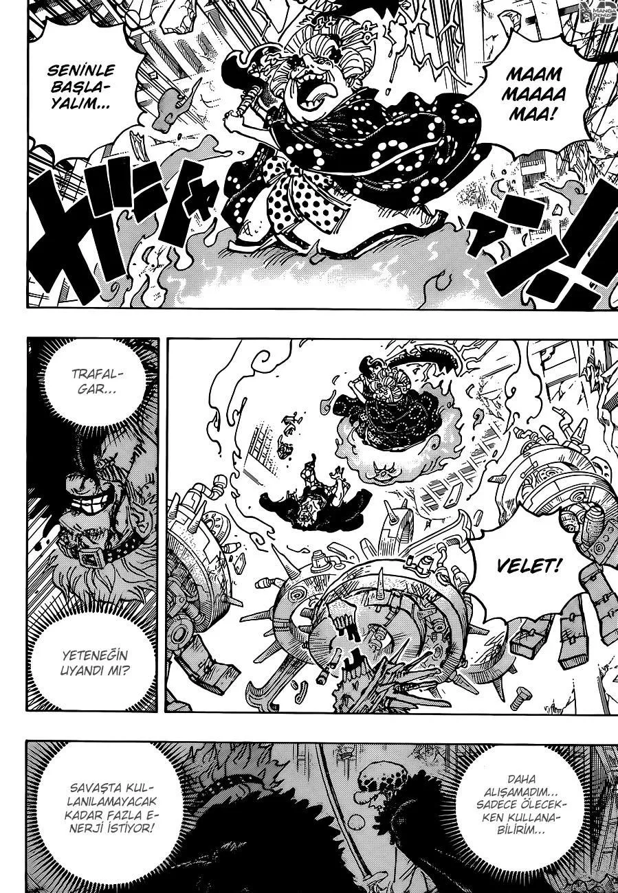 One Piece - Sayfa 14
