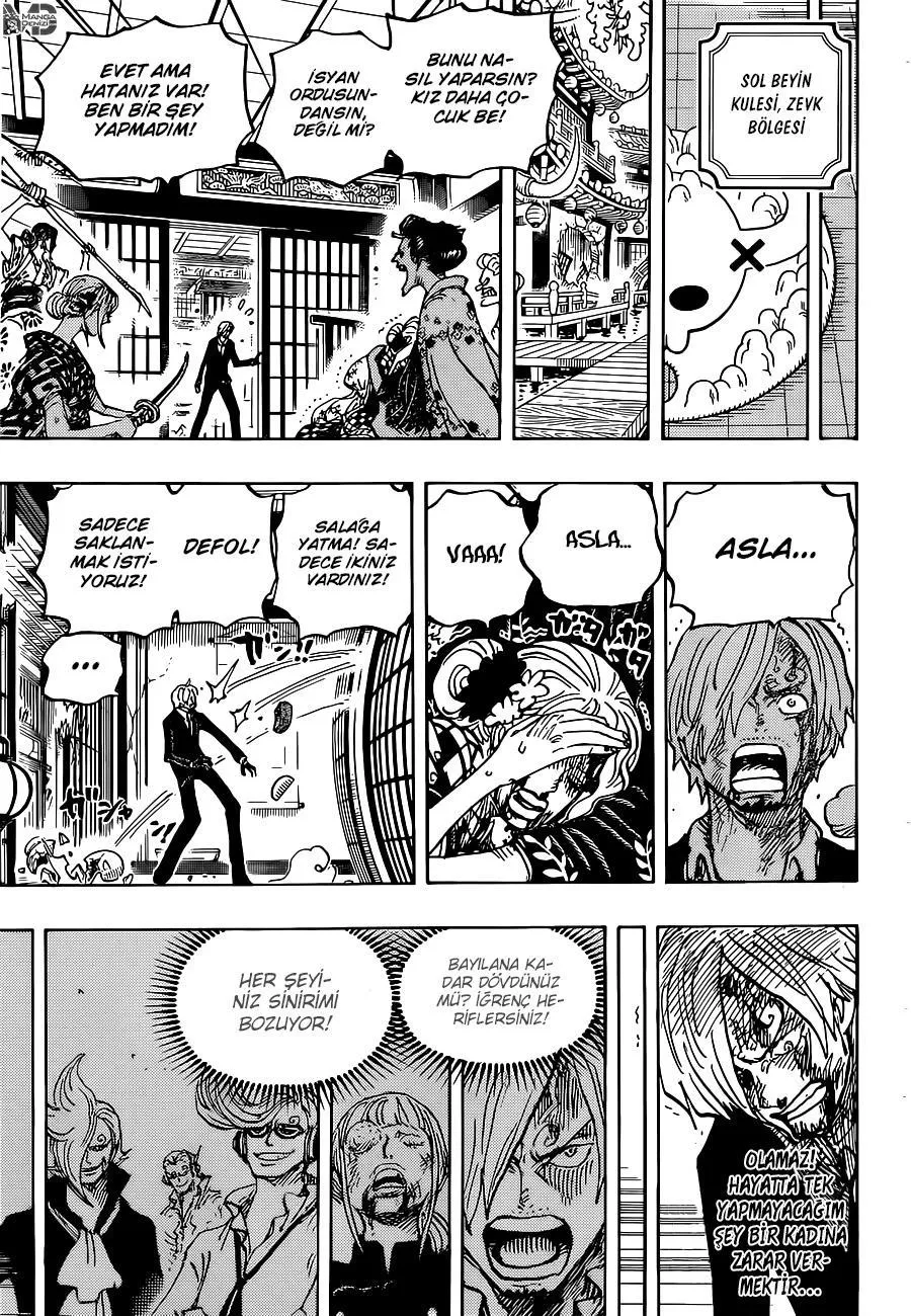 One Piece - Sayfa 12