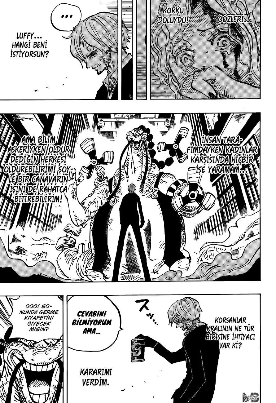 One Piece - Sayfa 14