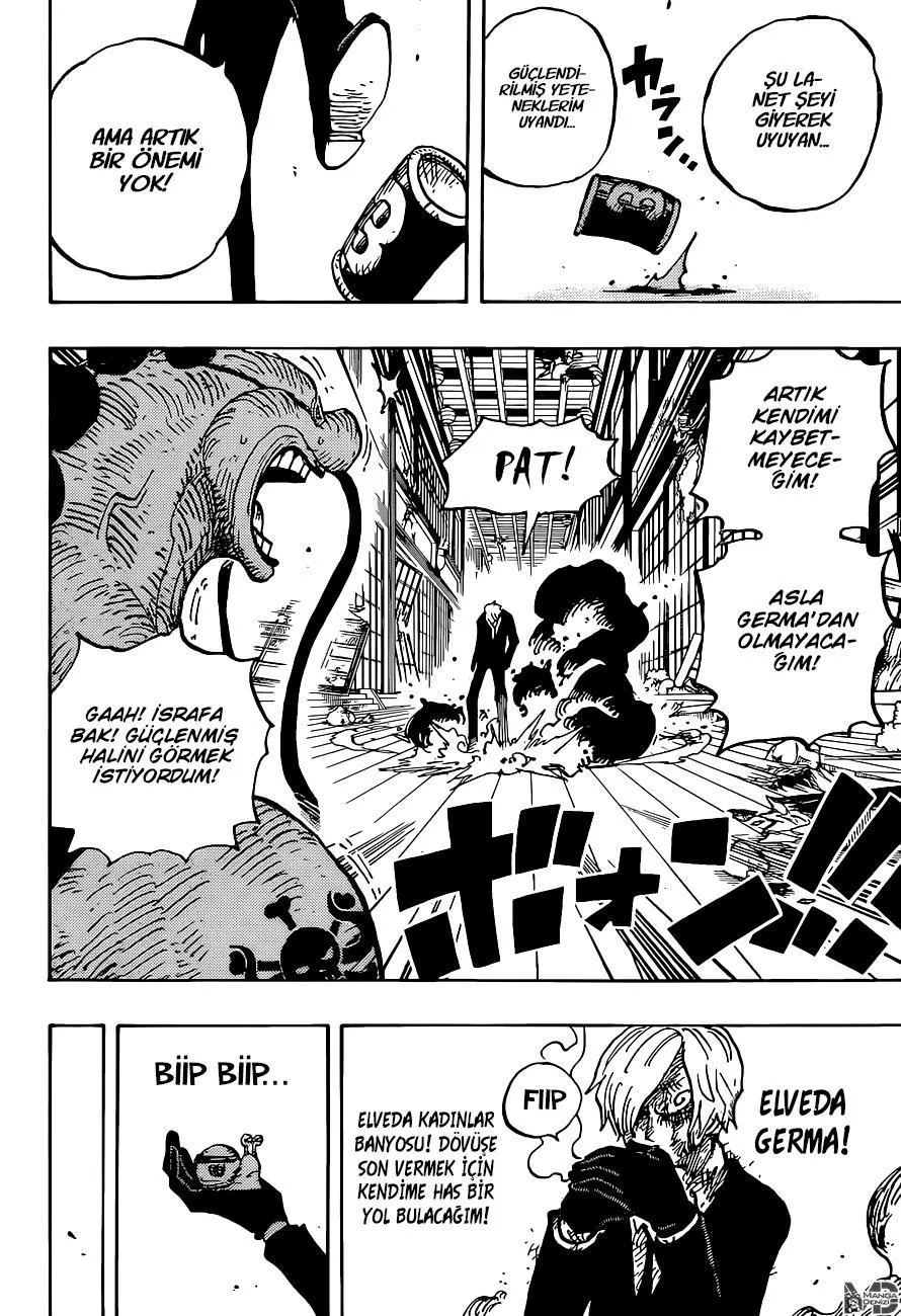 One Piece - Sayfa 15