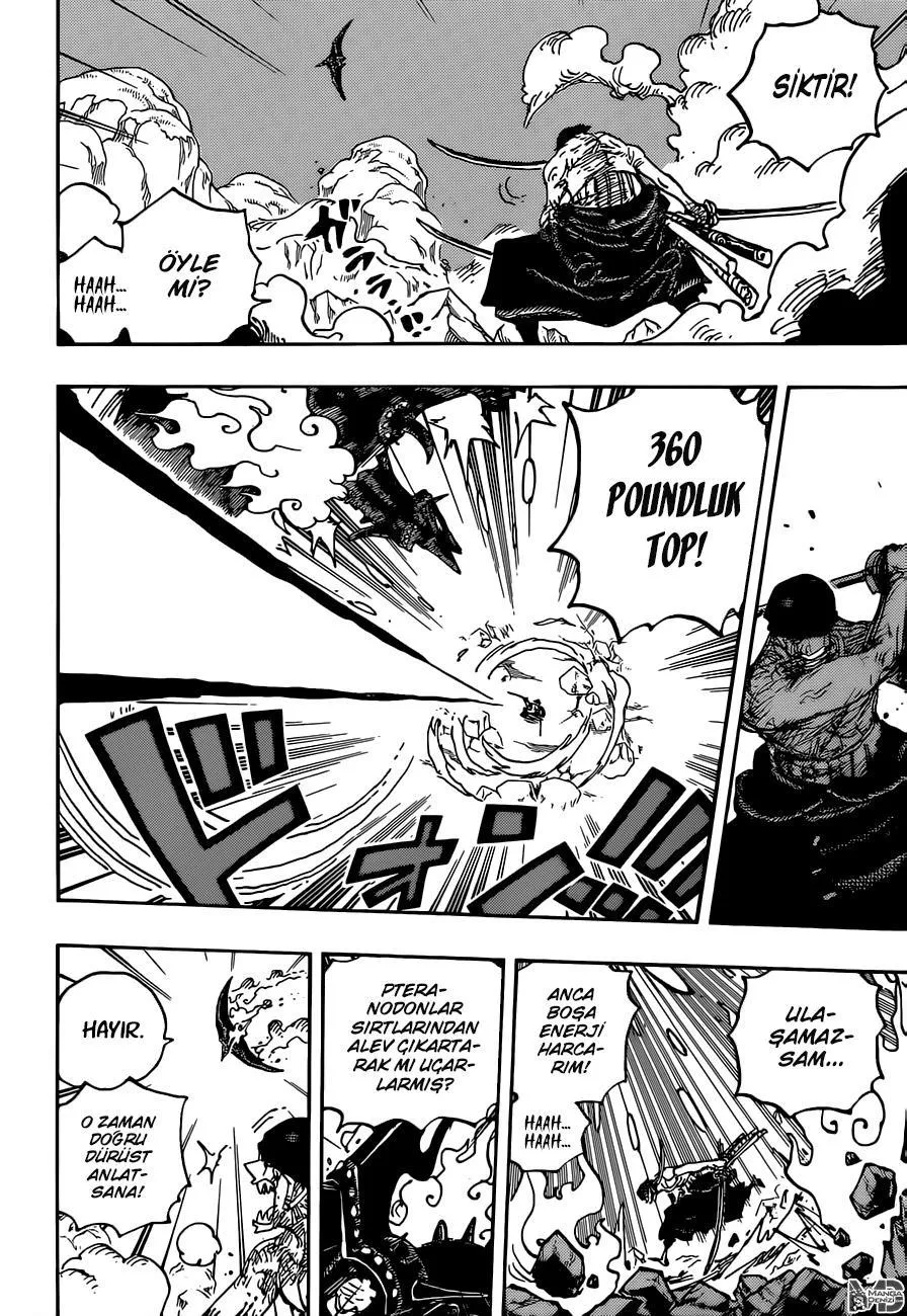 One Piece - Sayfa 13