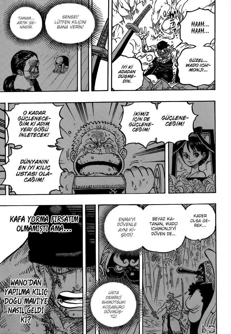 One Piece - Sayfa 10