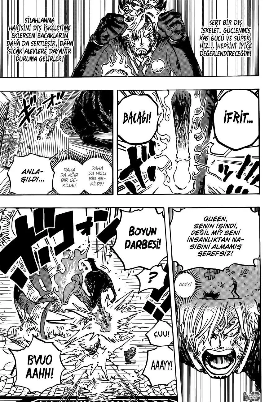 One Piece - Sayfa 13