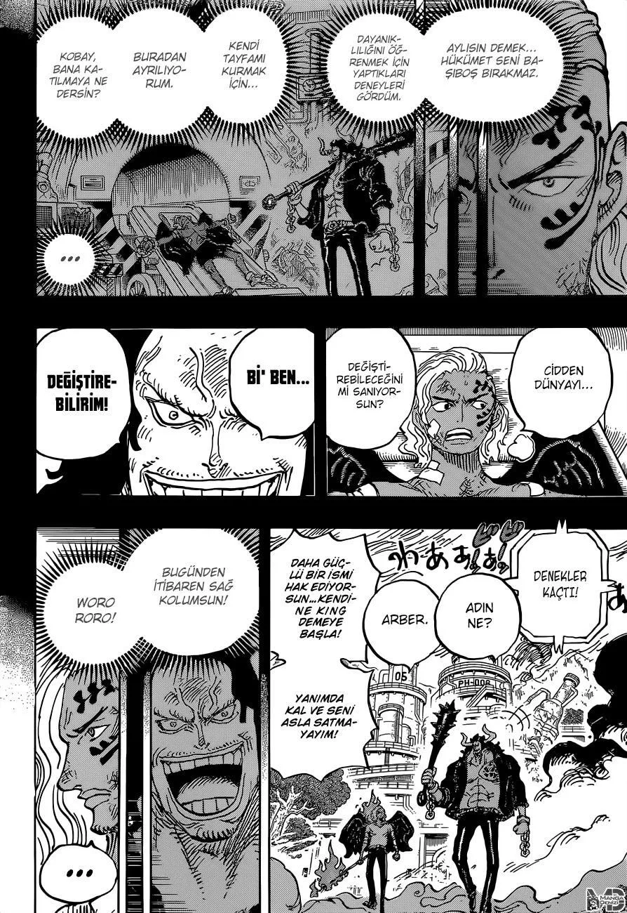 One Piece - Sayfa 11