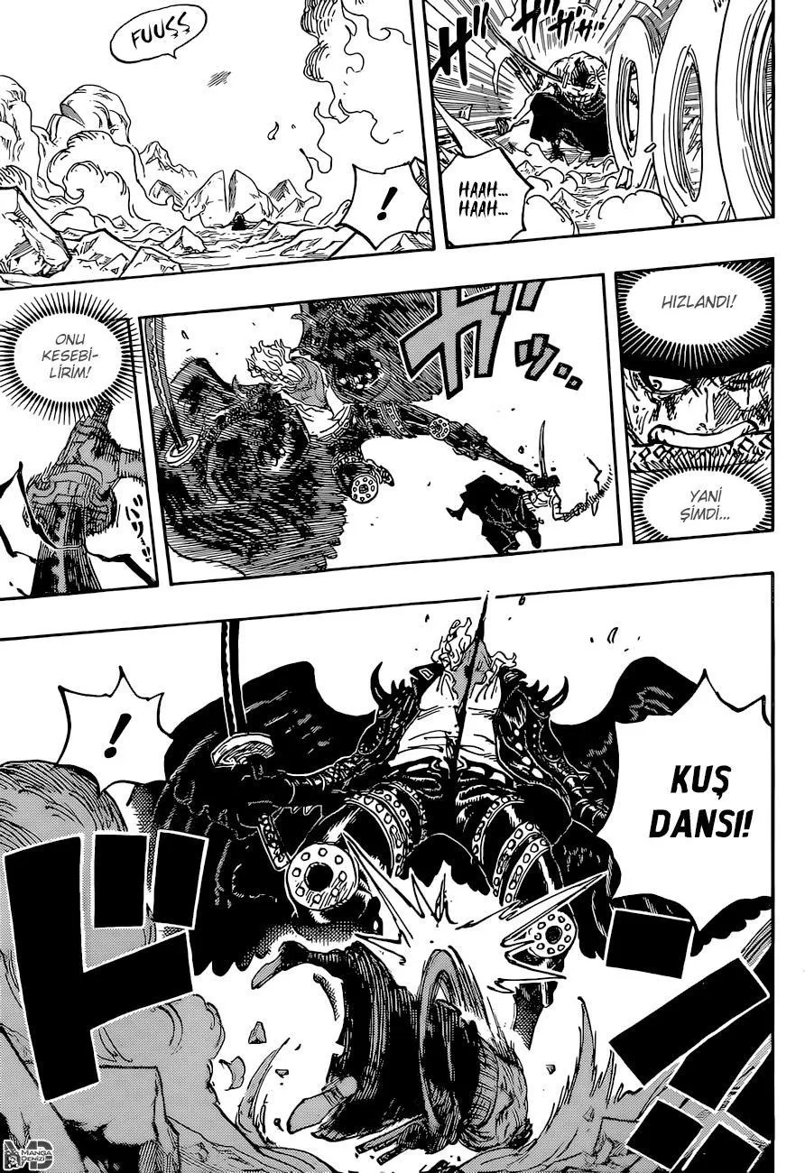 One Piece - Sayfa 14