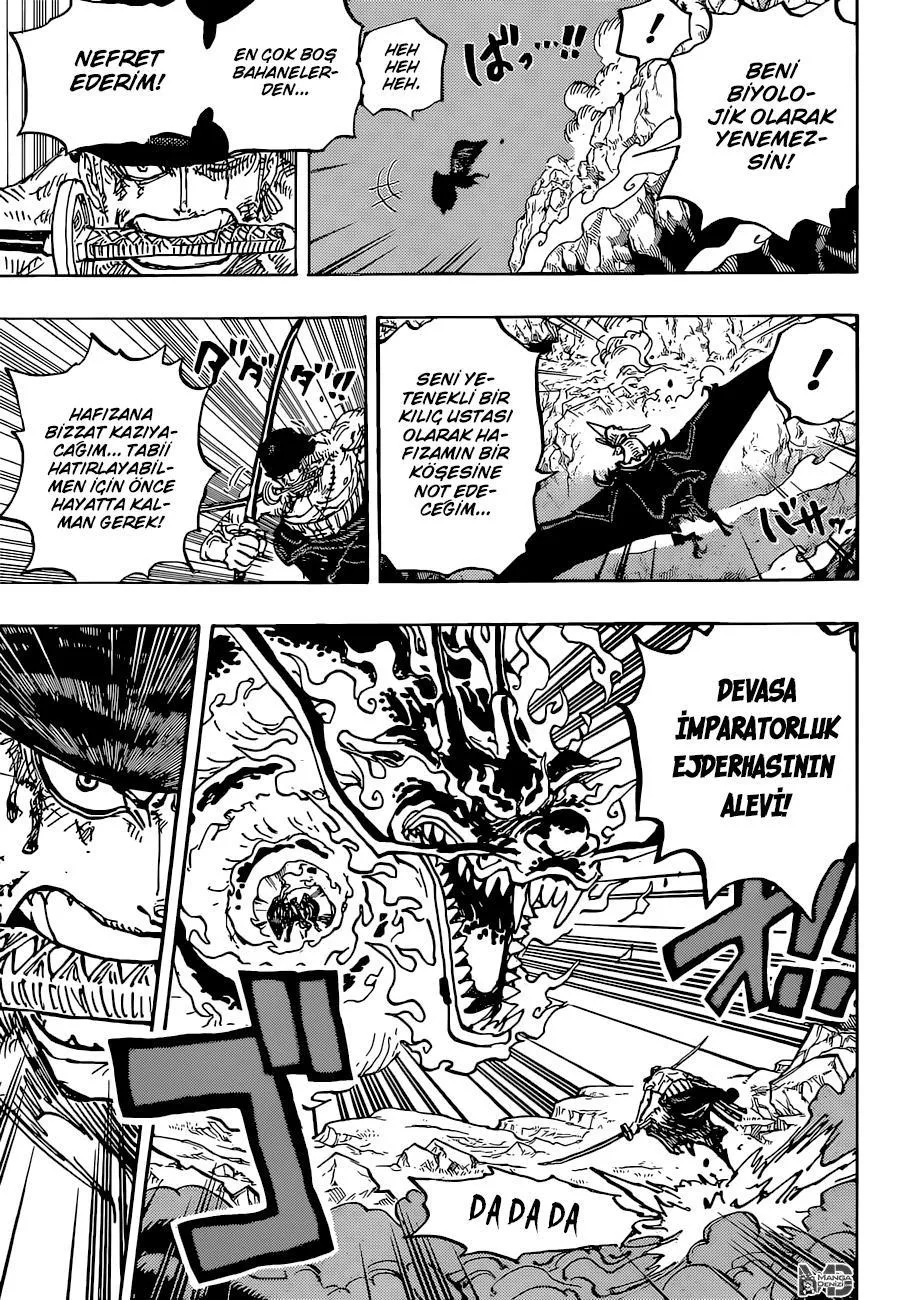 One Piece - Sayfa 16