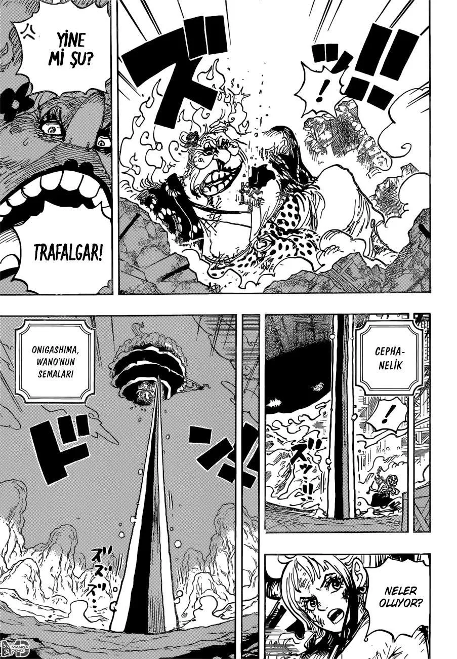 One Piece - Sayfa 12
