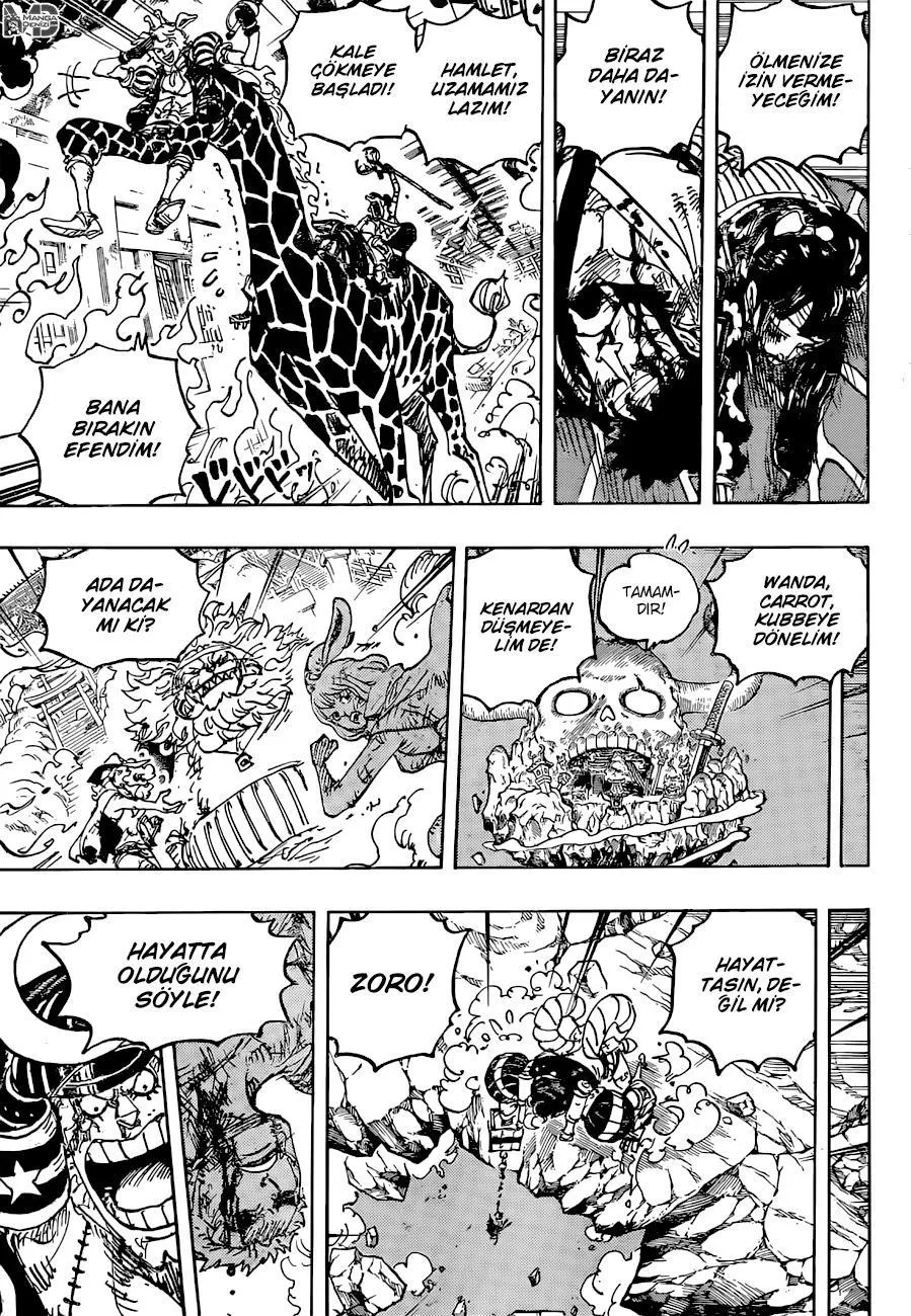 One Piece - Sayfa 12