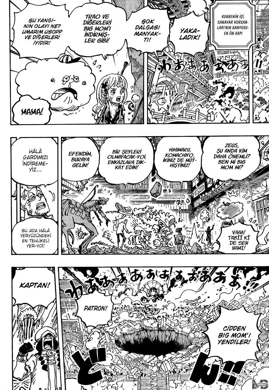 One Piece - Sayfa 13