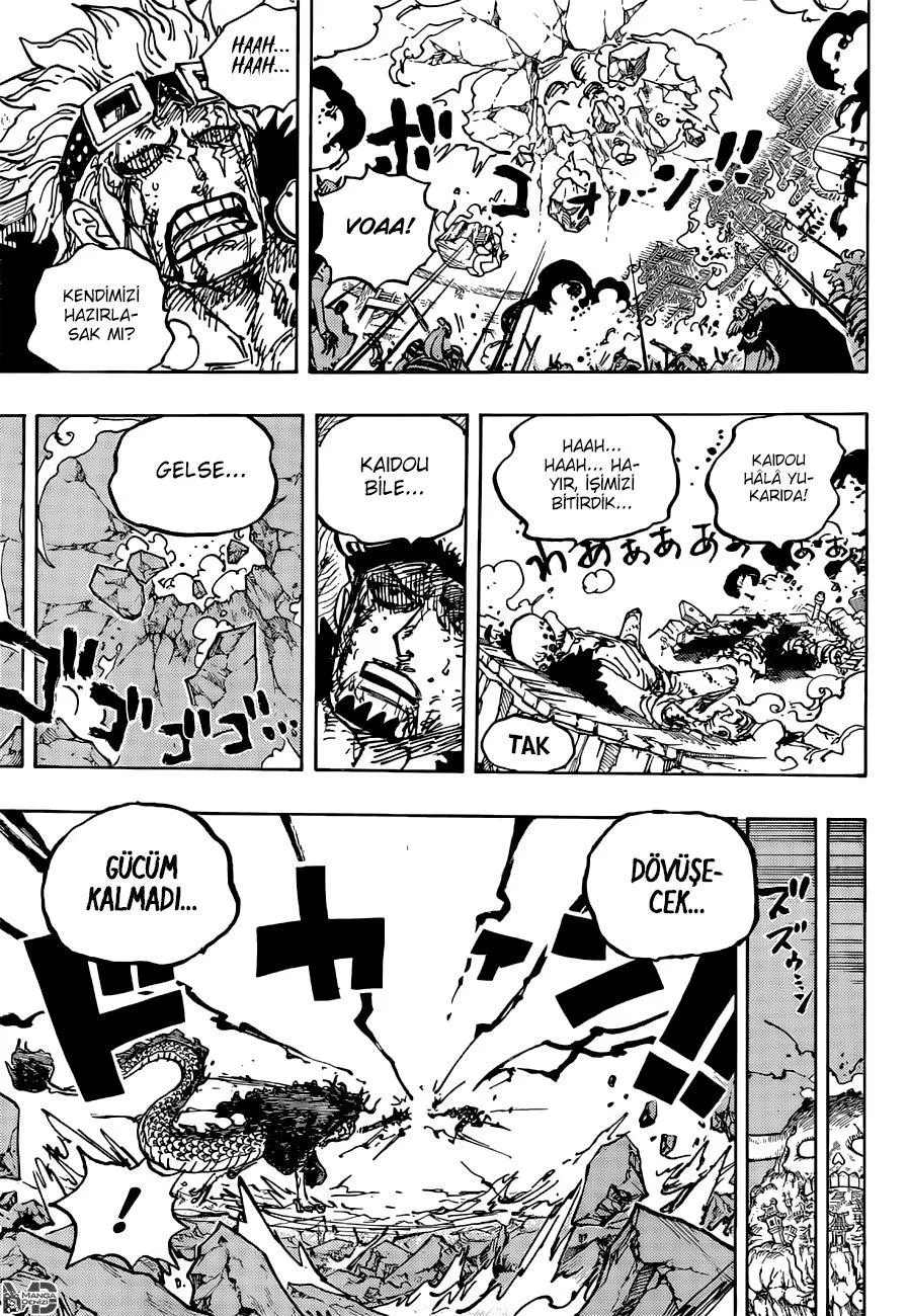 One Piece - Sayfa 14