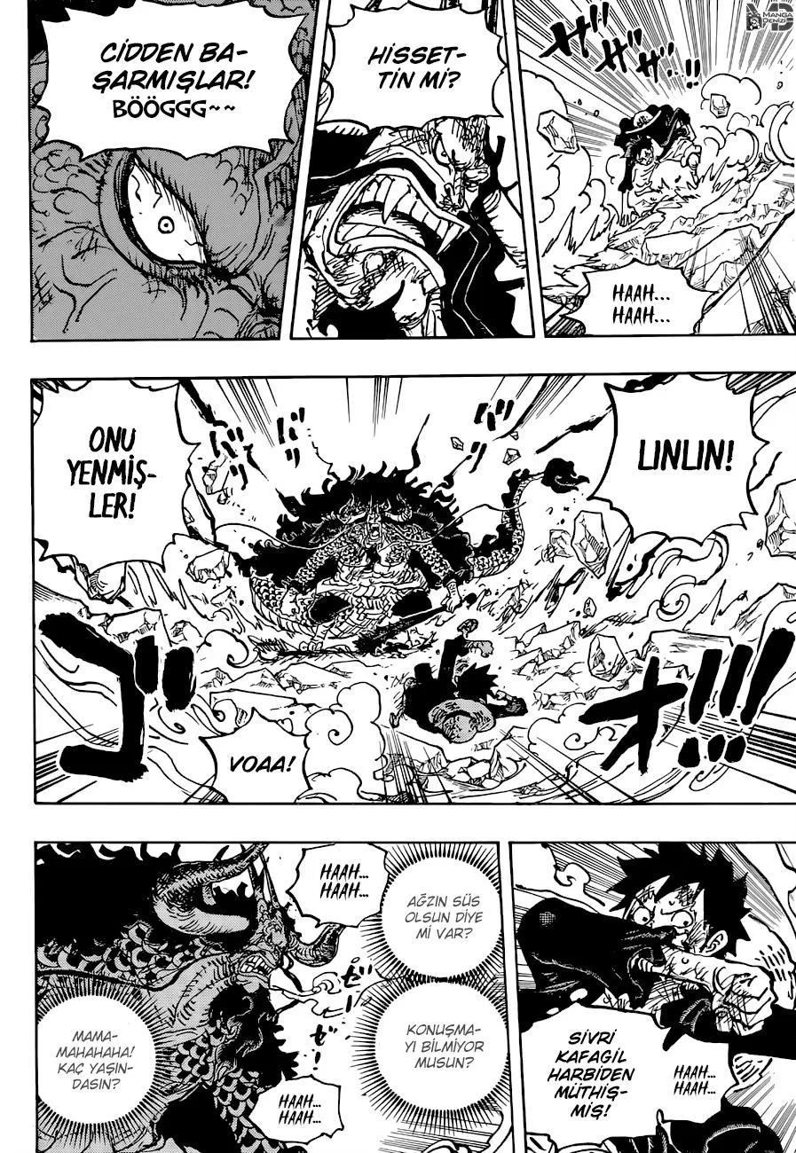 One Piece - Sayfa 15
