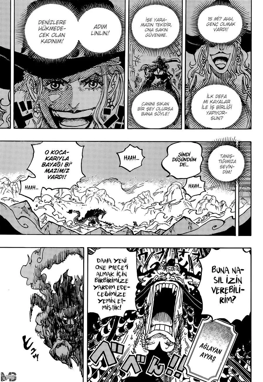 One Piece - Sayfa 16
