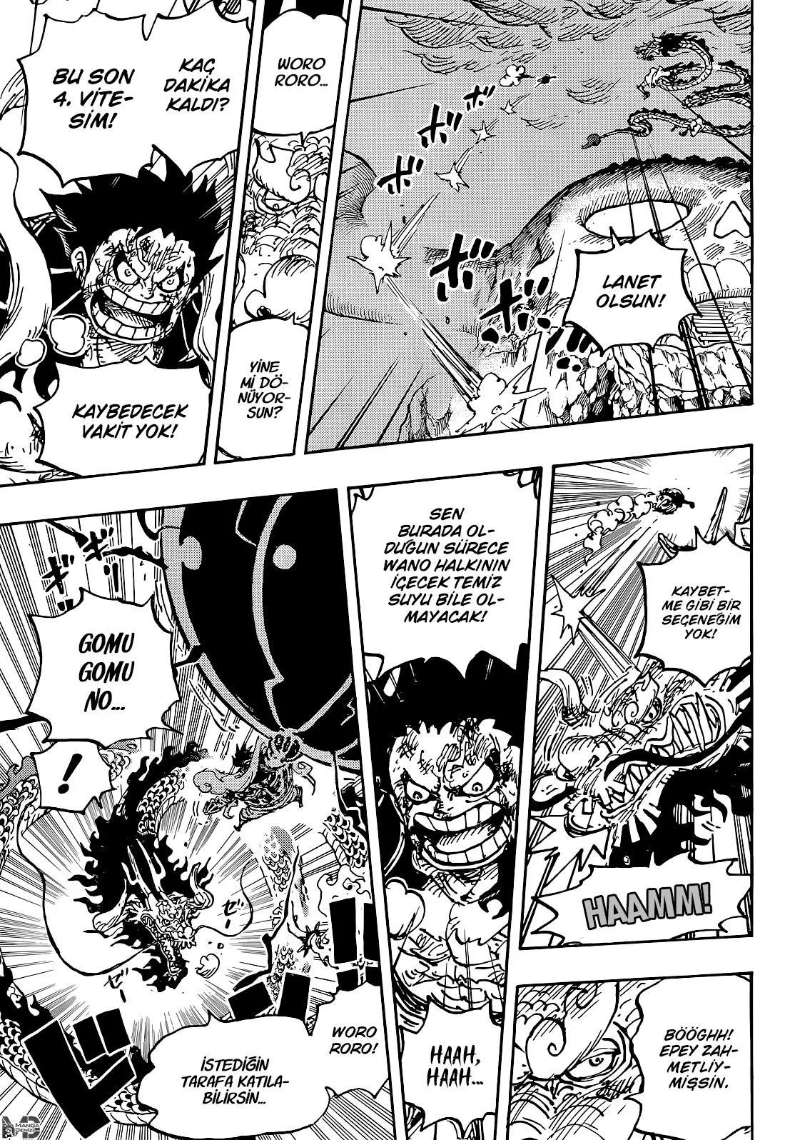 One Piece - Sayfa 11