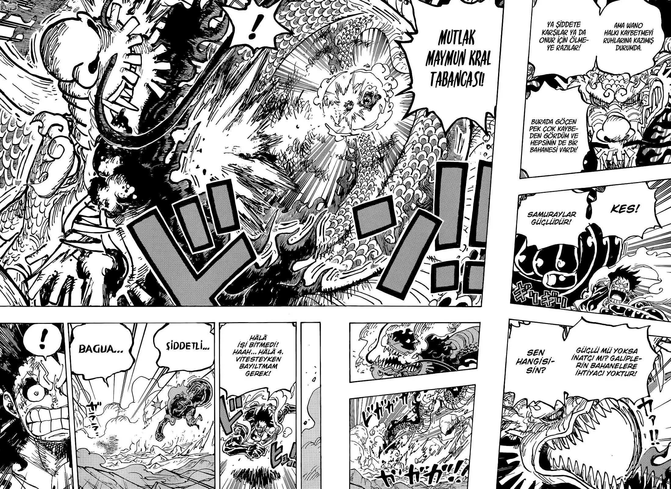 One Piece - Sayfa 12