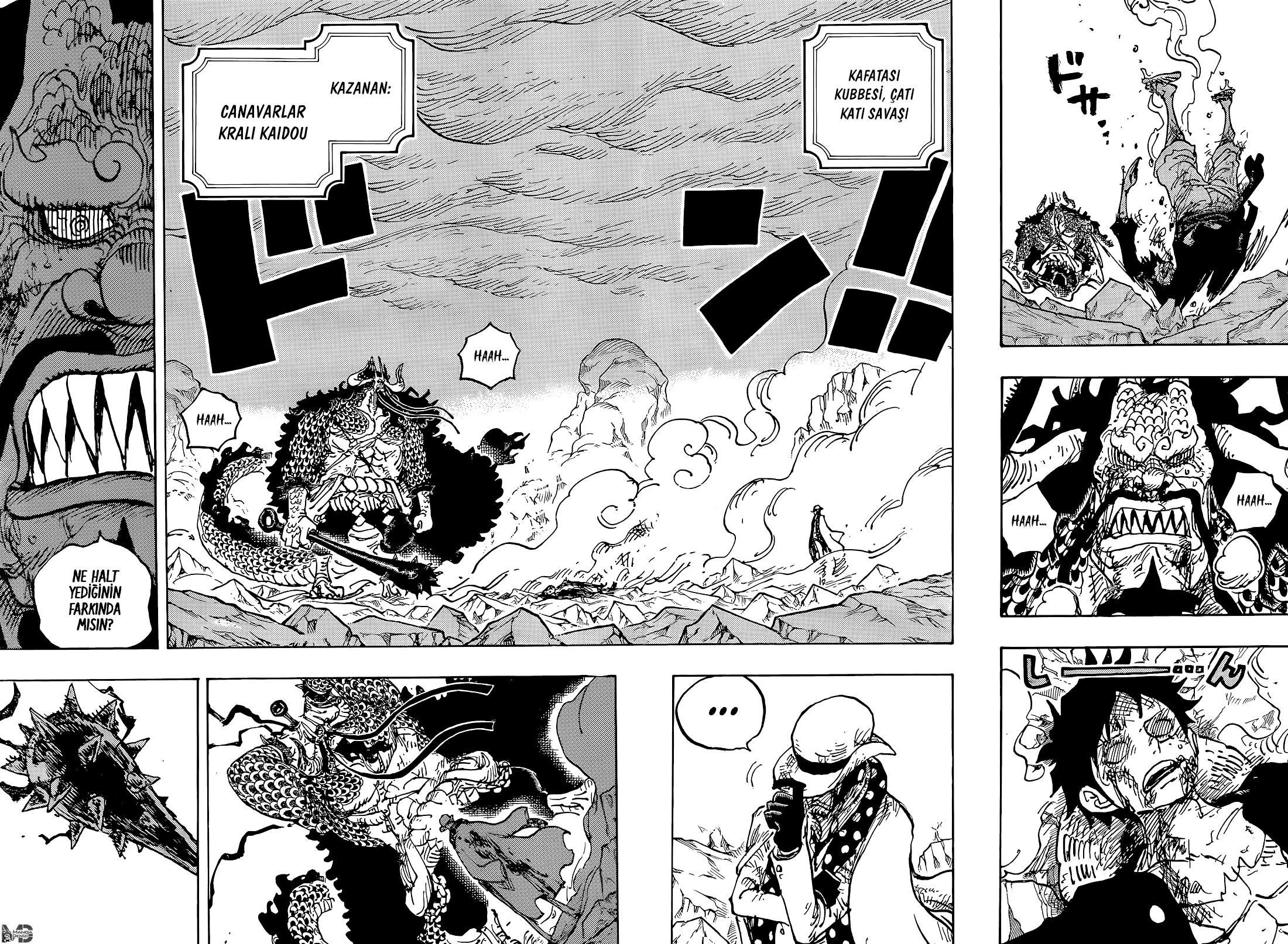 One Piece mangasının 1043 bölümünün 5. sayfasını okuyorsunuz.