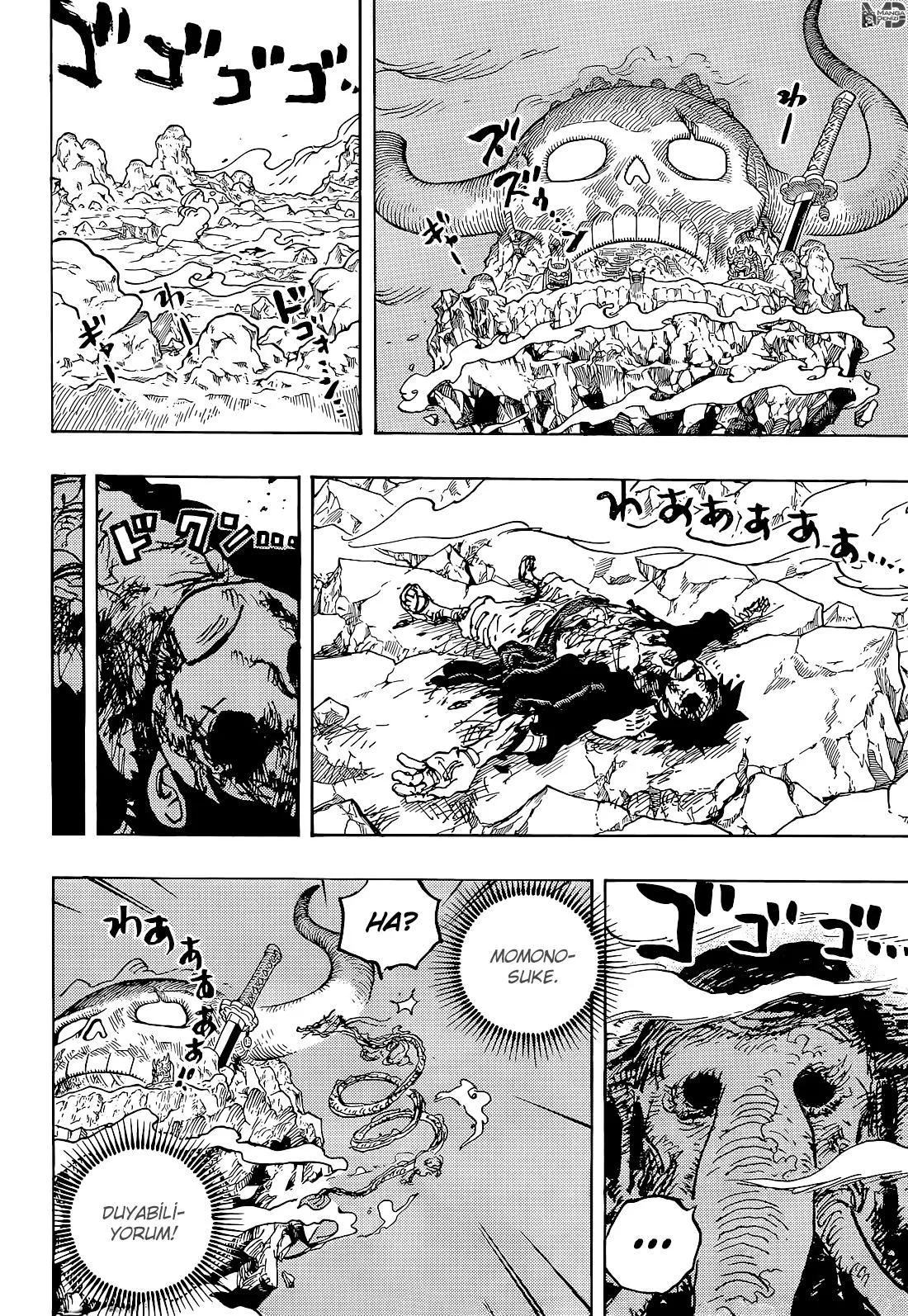 One Piece - Sayfa 15