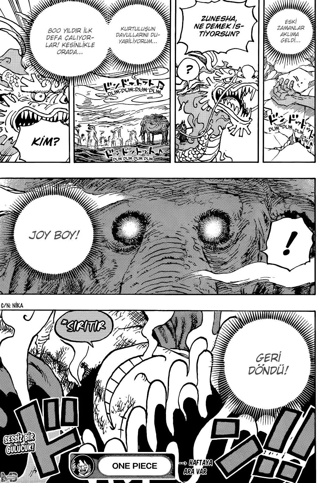 One Piece - Sayfa 16
