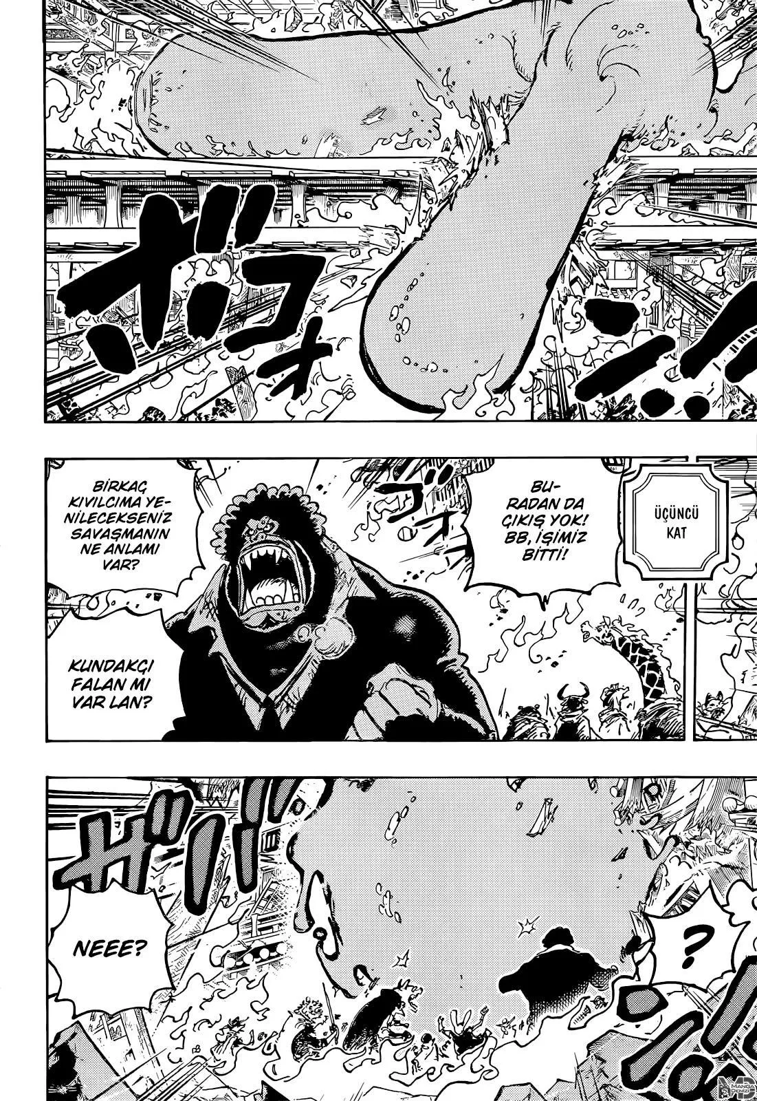 One Piece - Sayfa 13