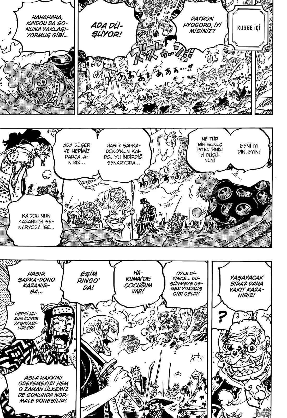 One Piece - Sayfa 14