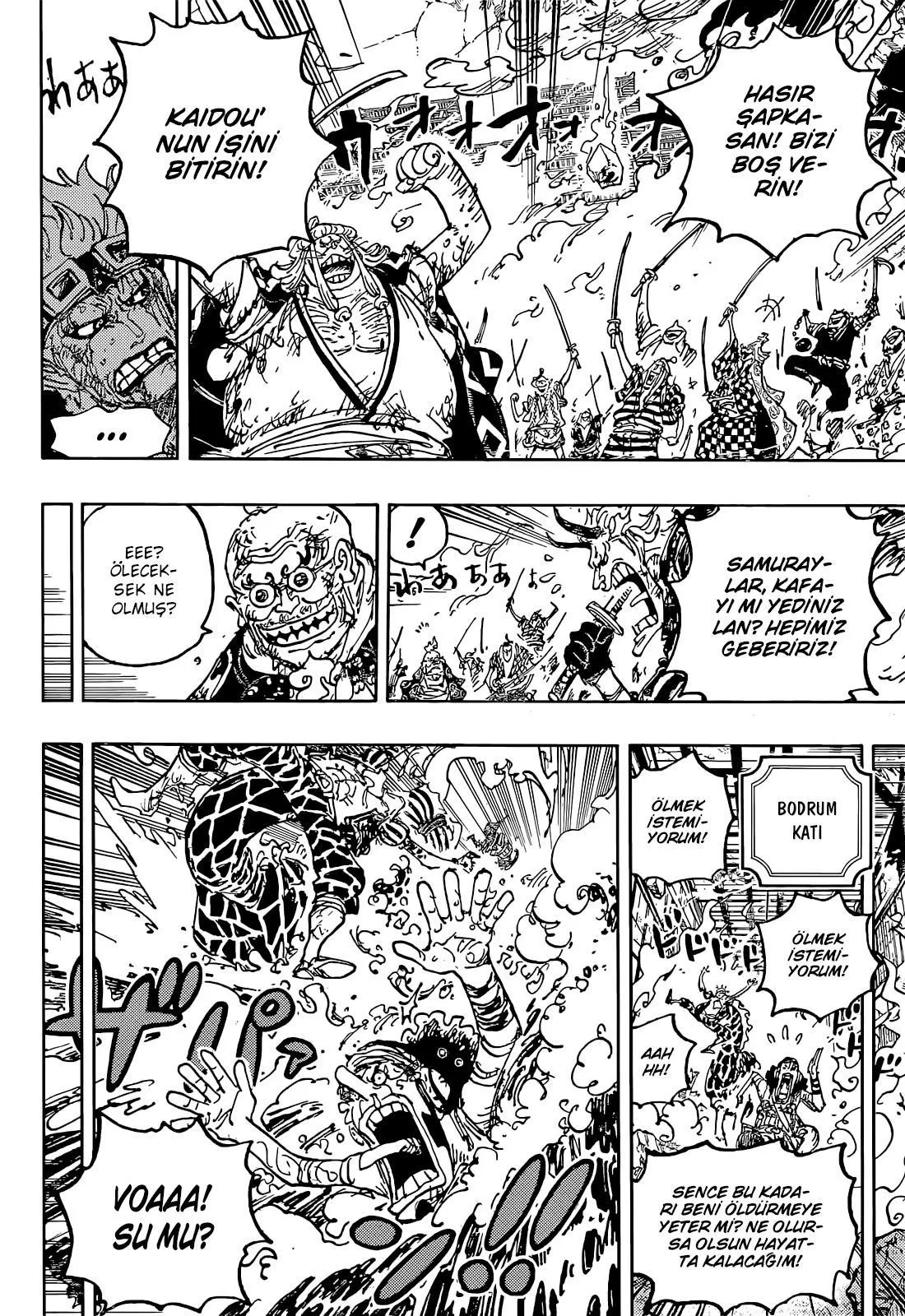 One Piece - Sayfa 15