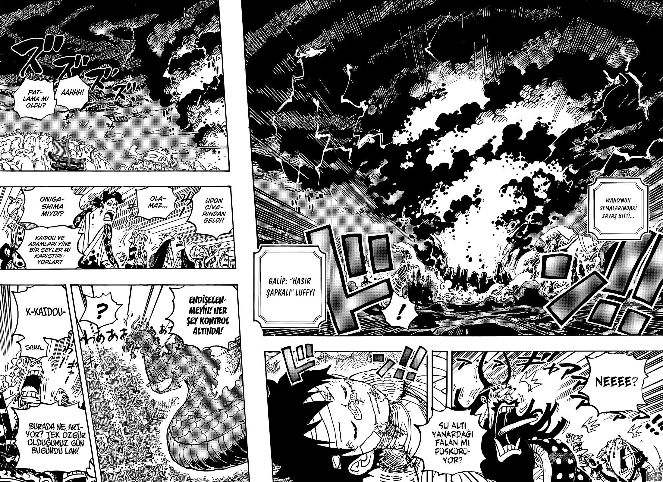 One Piece - Sayfa 13