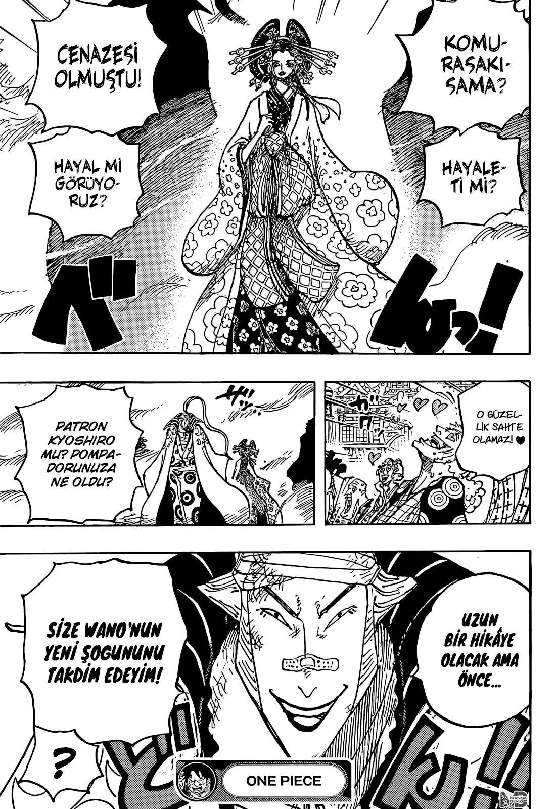 One Piece - Sayfa 15
