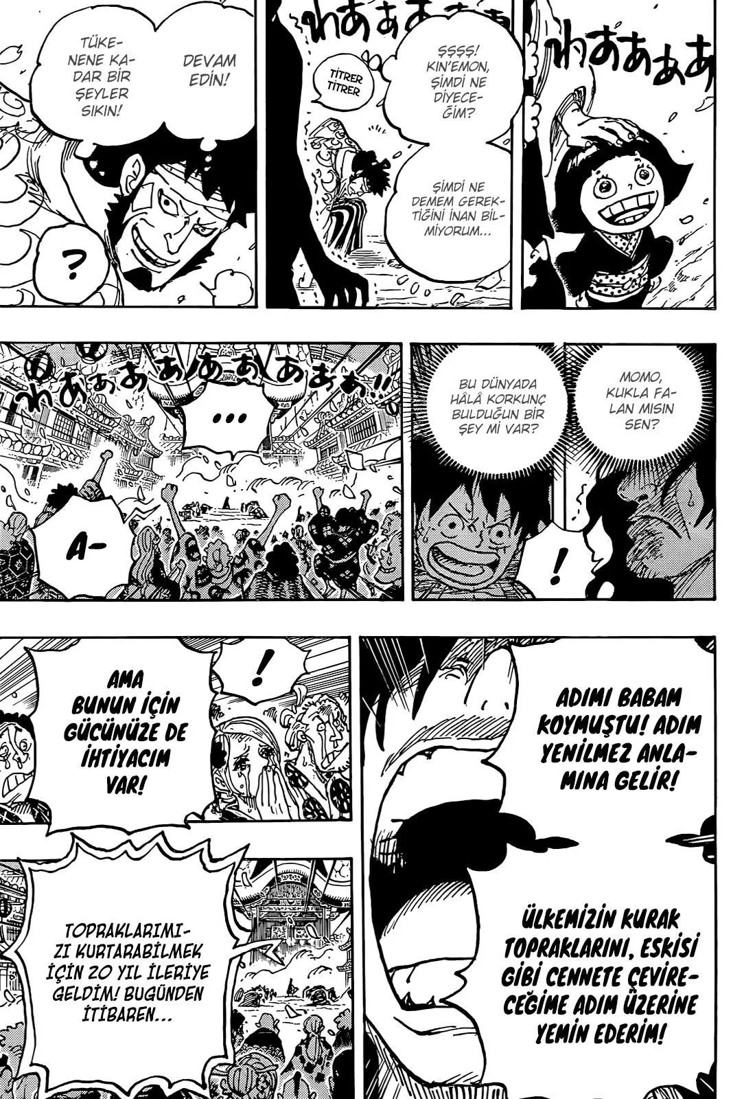 One Piece - Sayfa 14