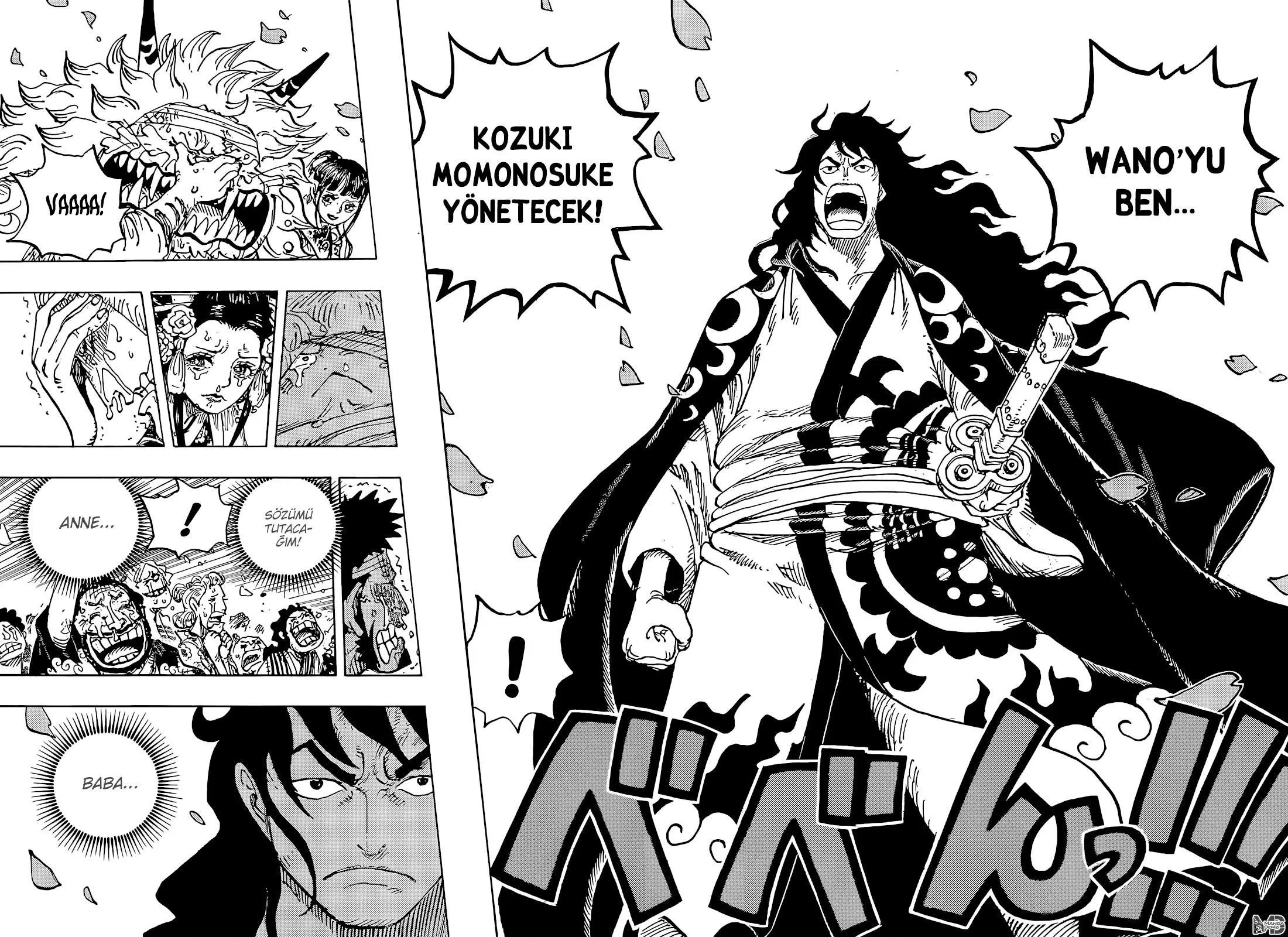 One Piece - Sayfa 15