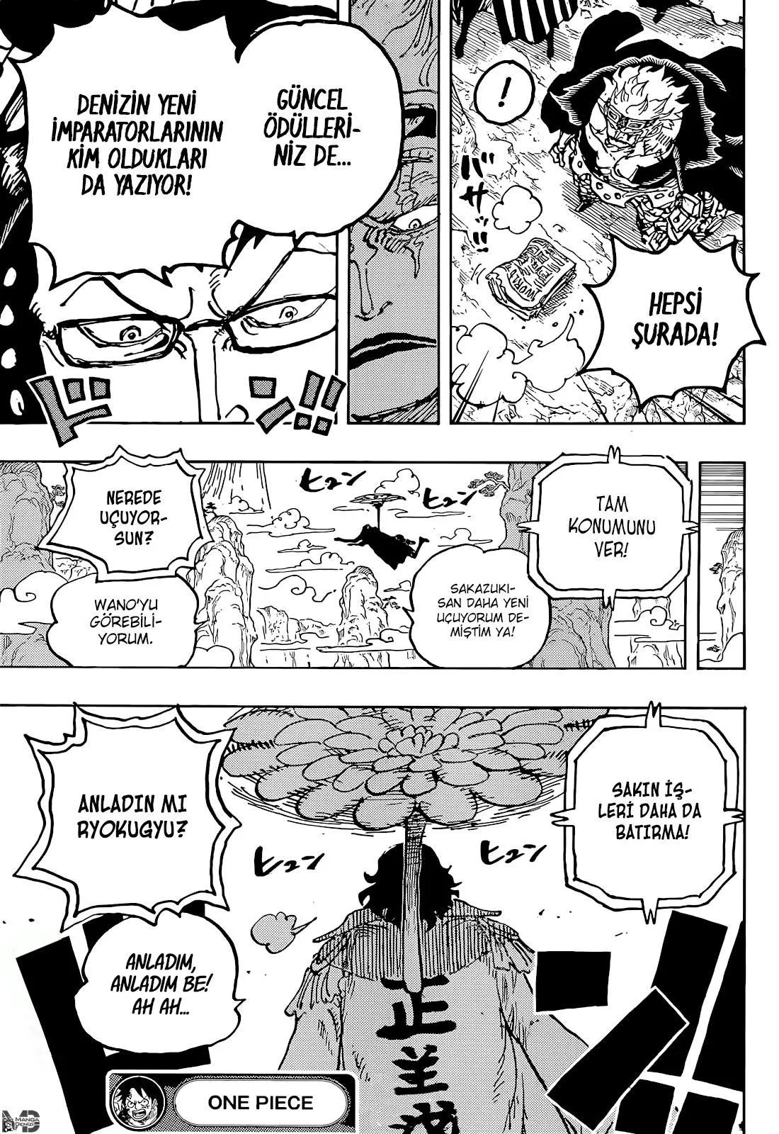 One Piece - Sayfa 16