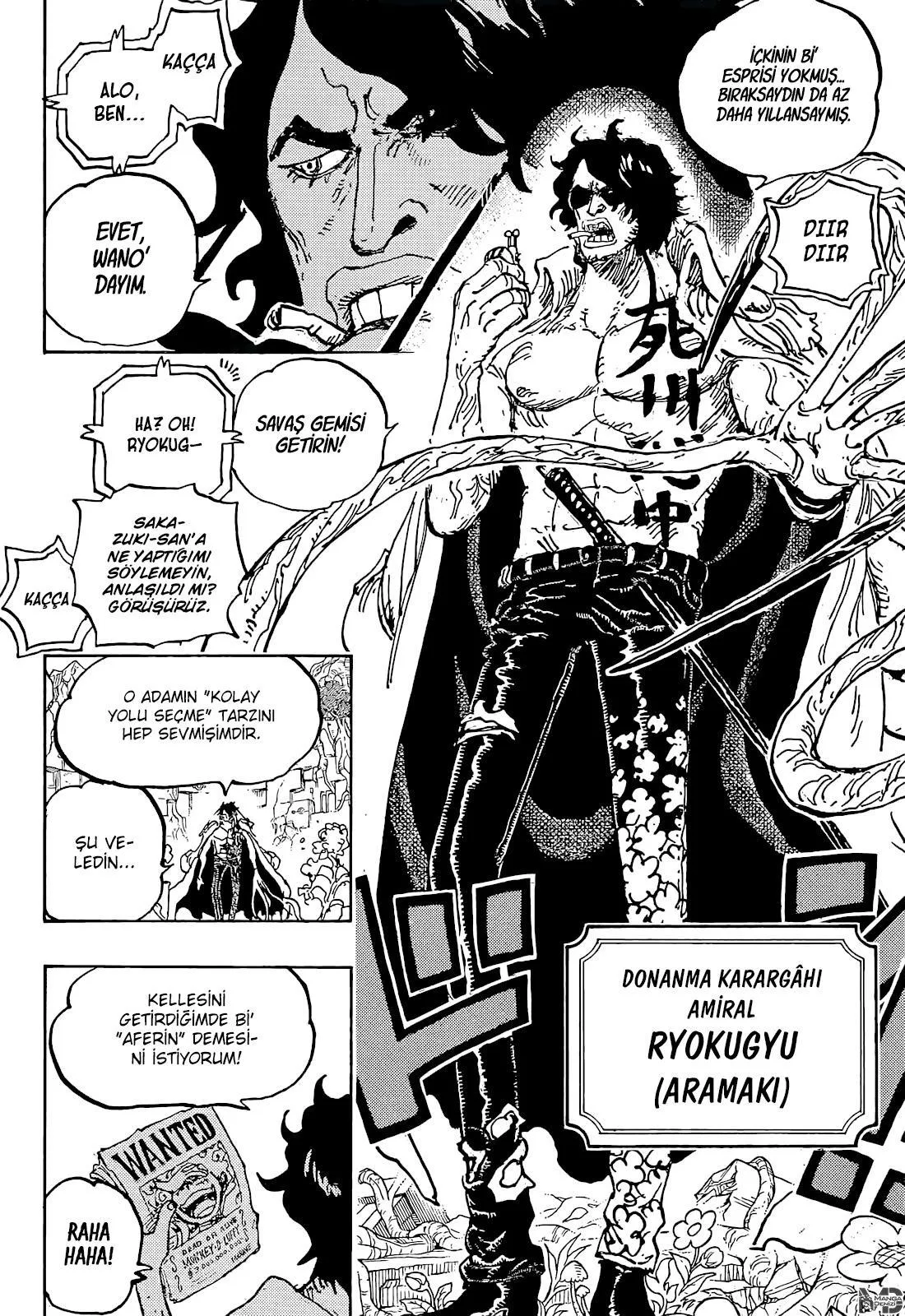 One Piece - Sayfa 11