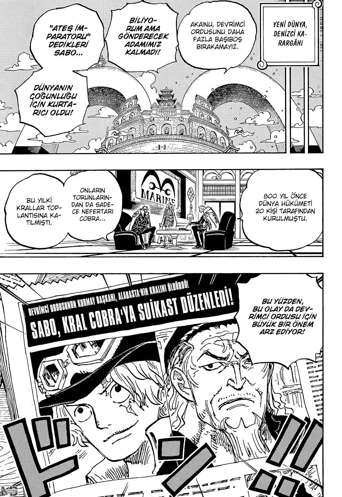 One Piece - Sayfa 13