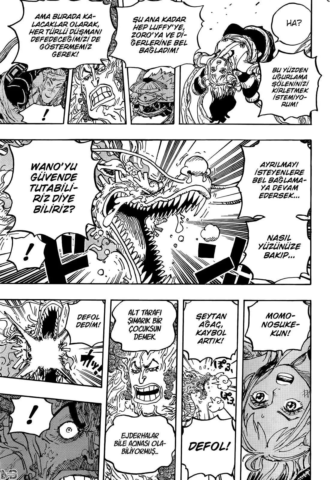 One Piece - Sayfa 12