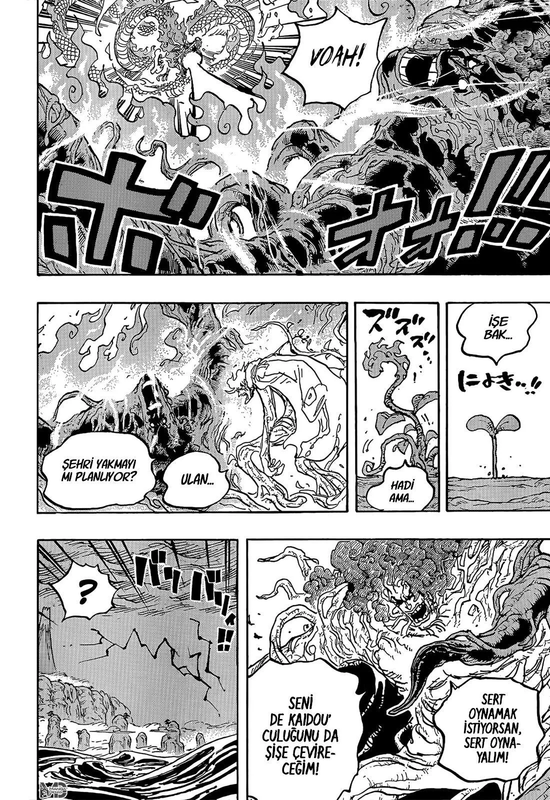 One Piece - Sayfa 14