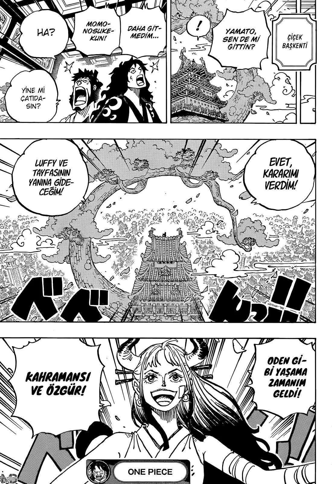 One Piece - Sayfa 18