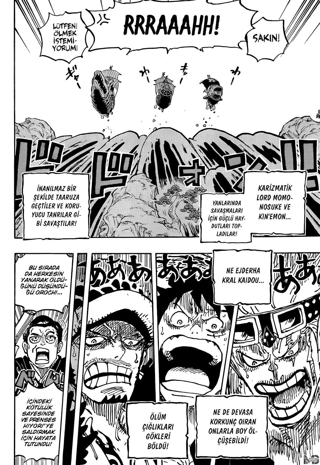 One Piece - Sayfa 14