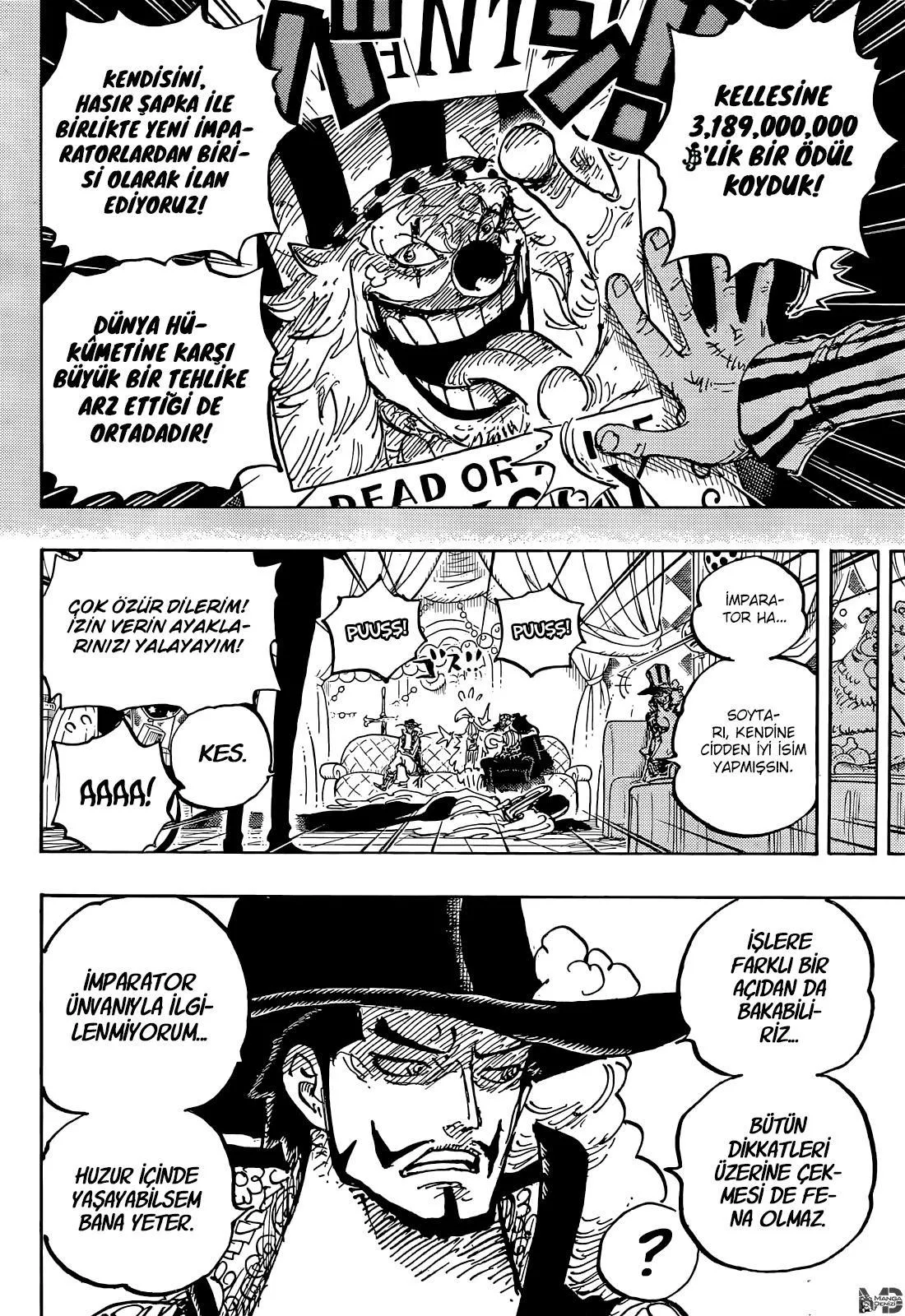 One Piece - Sayfa 14