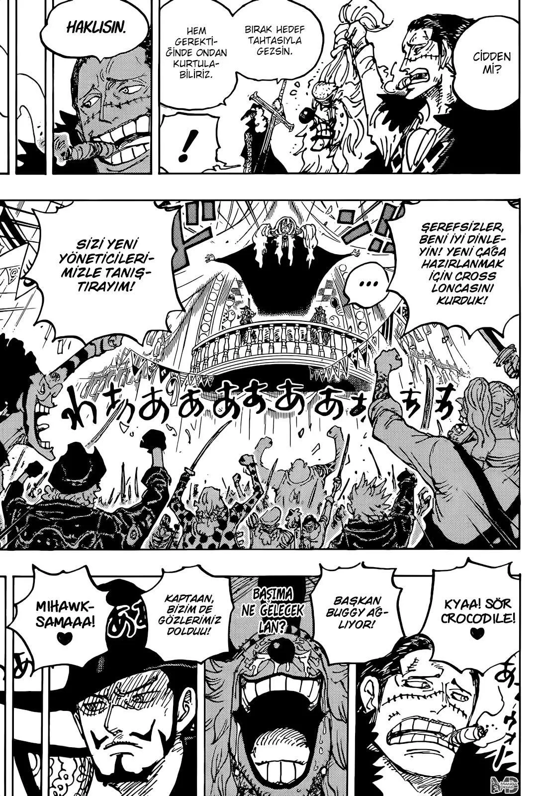 One Piece - Sayfa 15