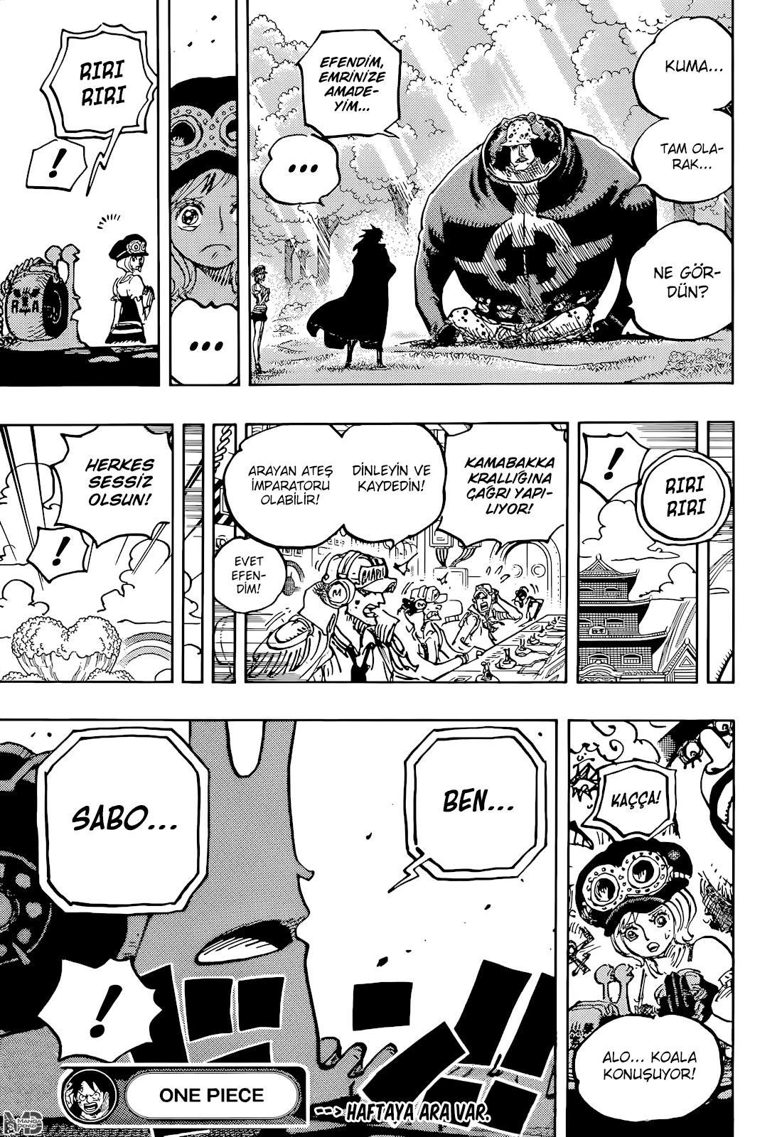 One Piece mangasının 1058 bölümünün 17. sayfasını okuyorsunuz.