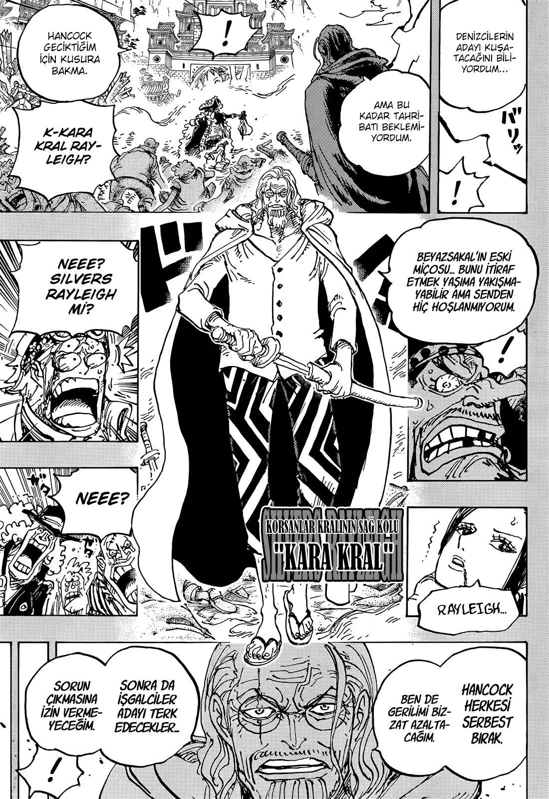 One Piece - Sayfa 15