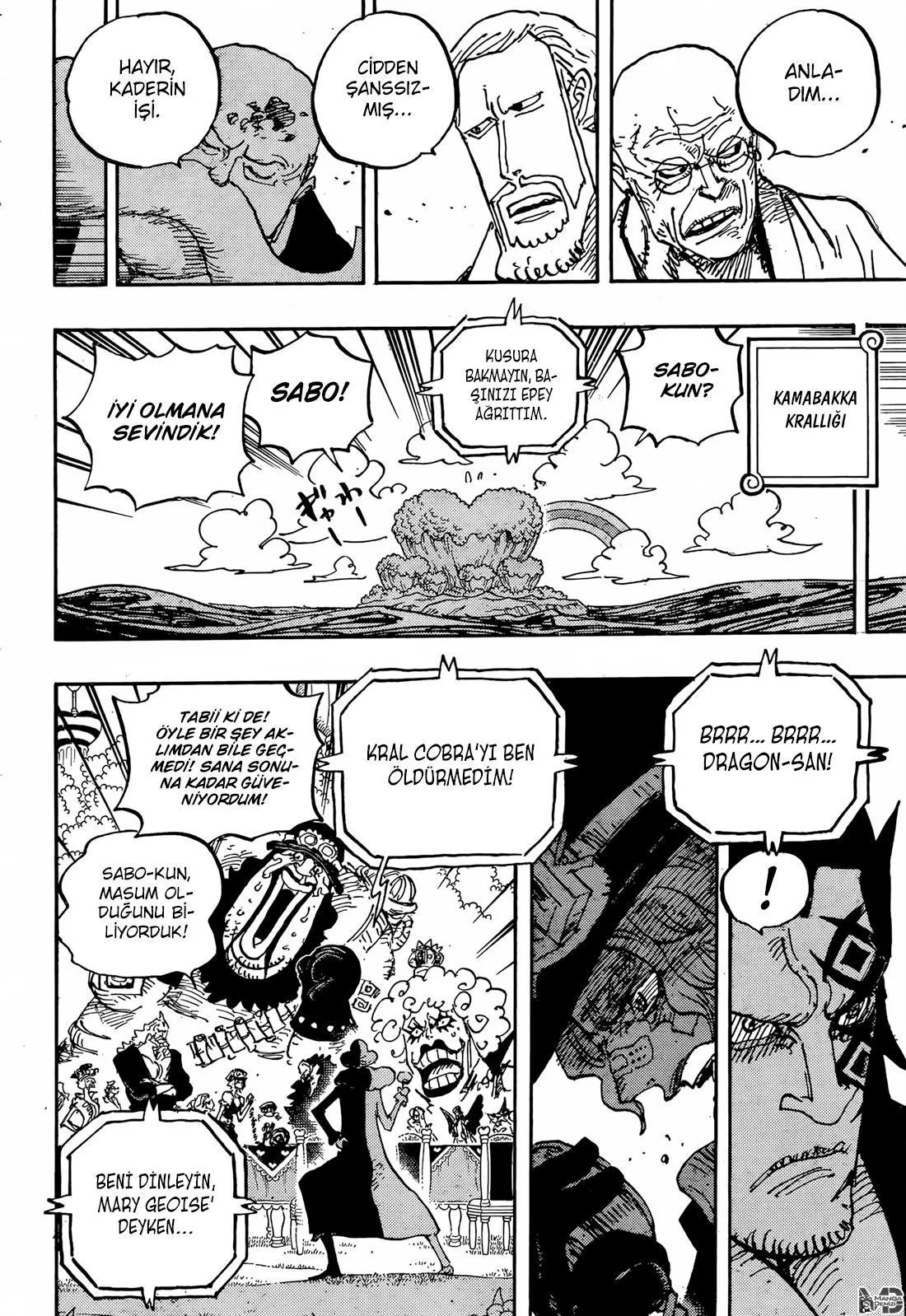 One Piece - Sayfa 11