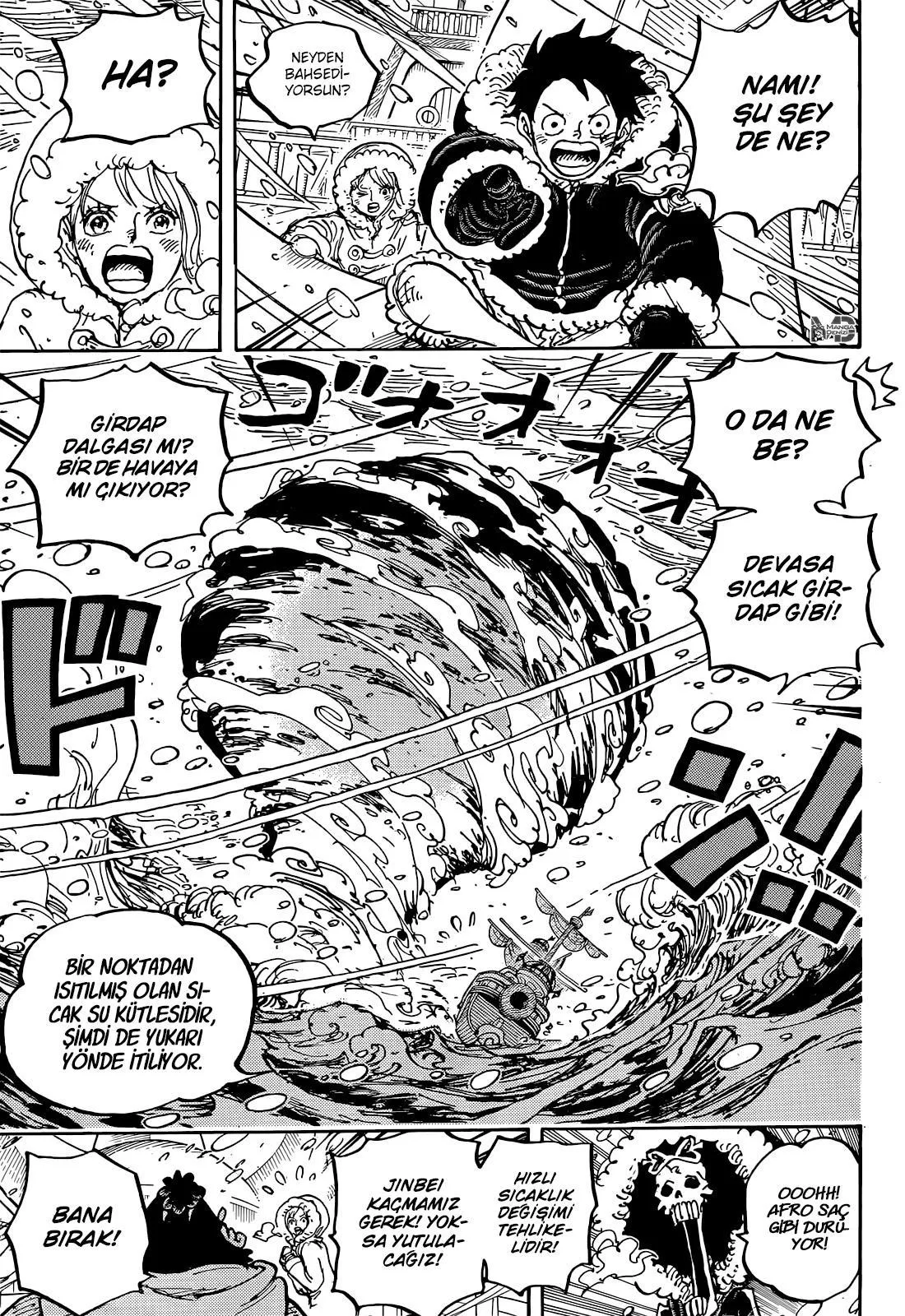 One Piece - Sayfa 15