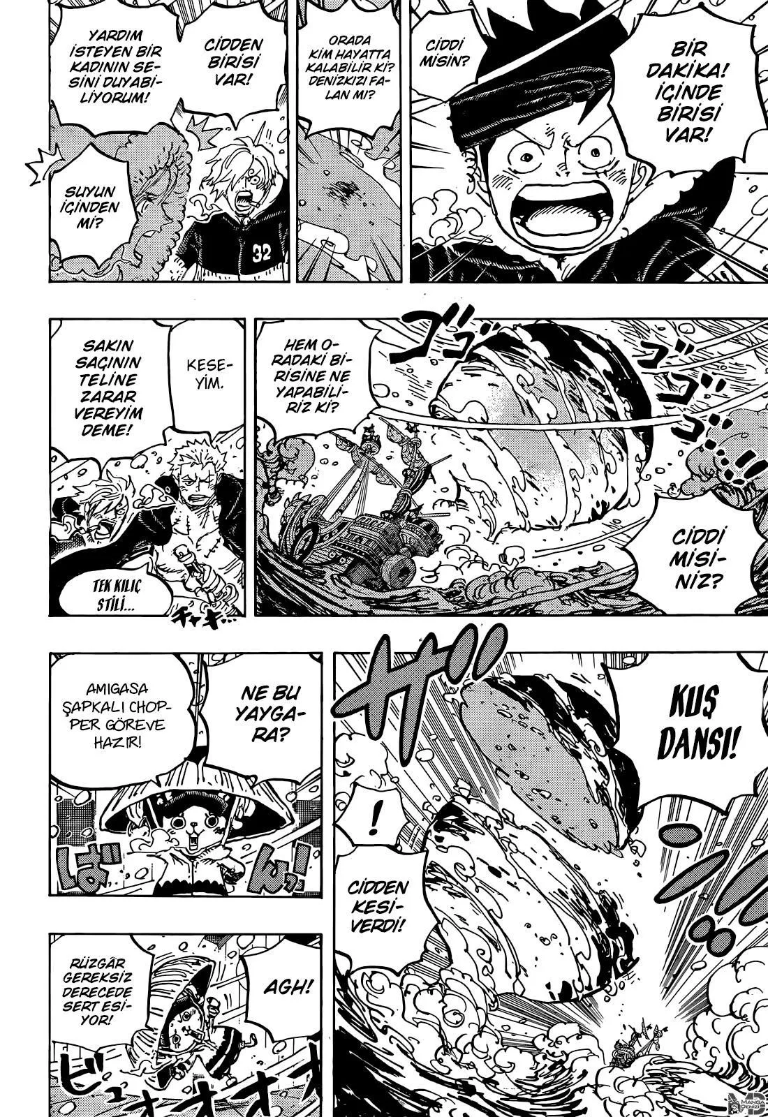 One Piece - Sayfa 16
