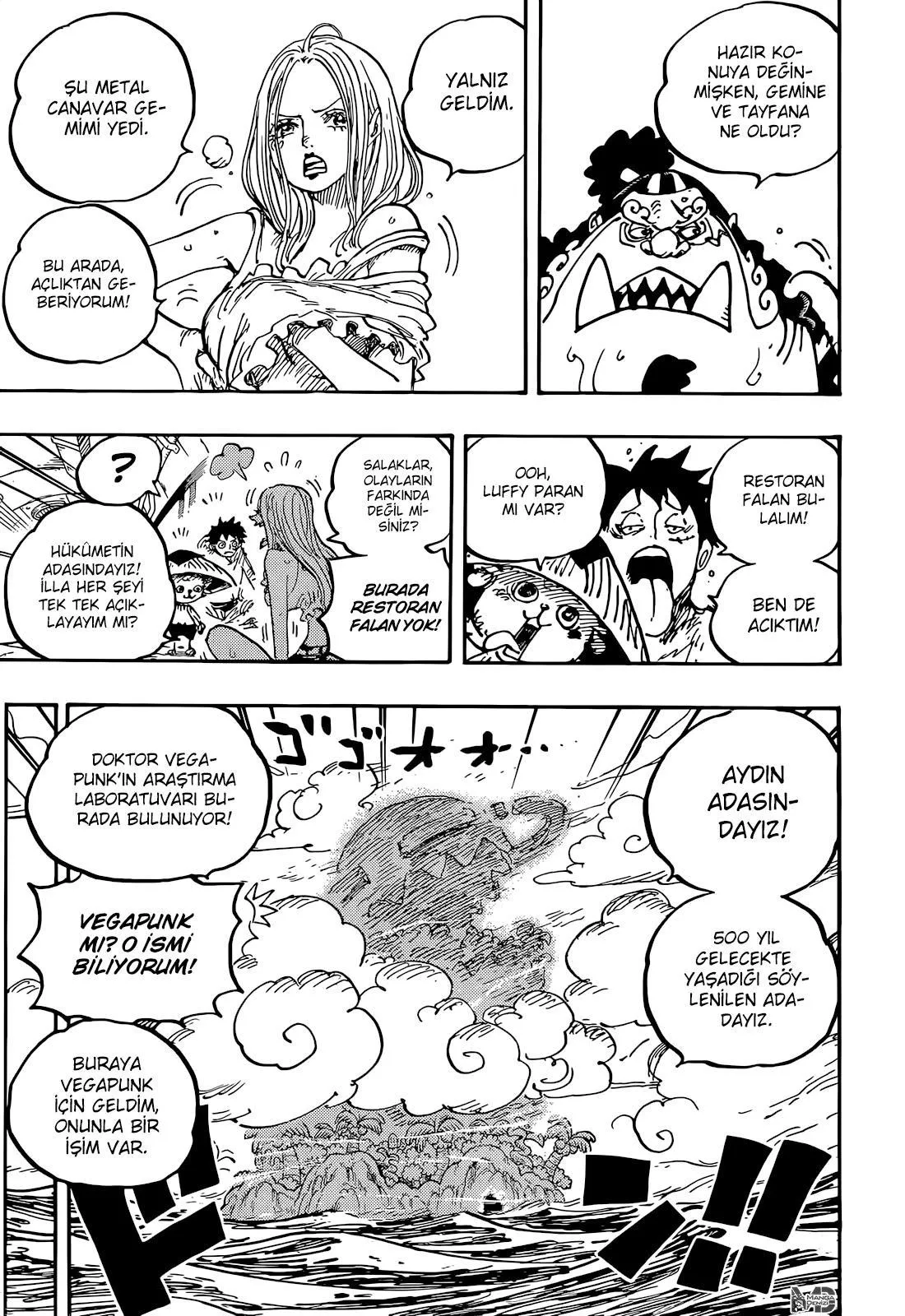 One Piece - Sayfa 12