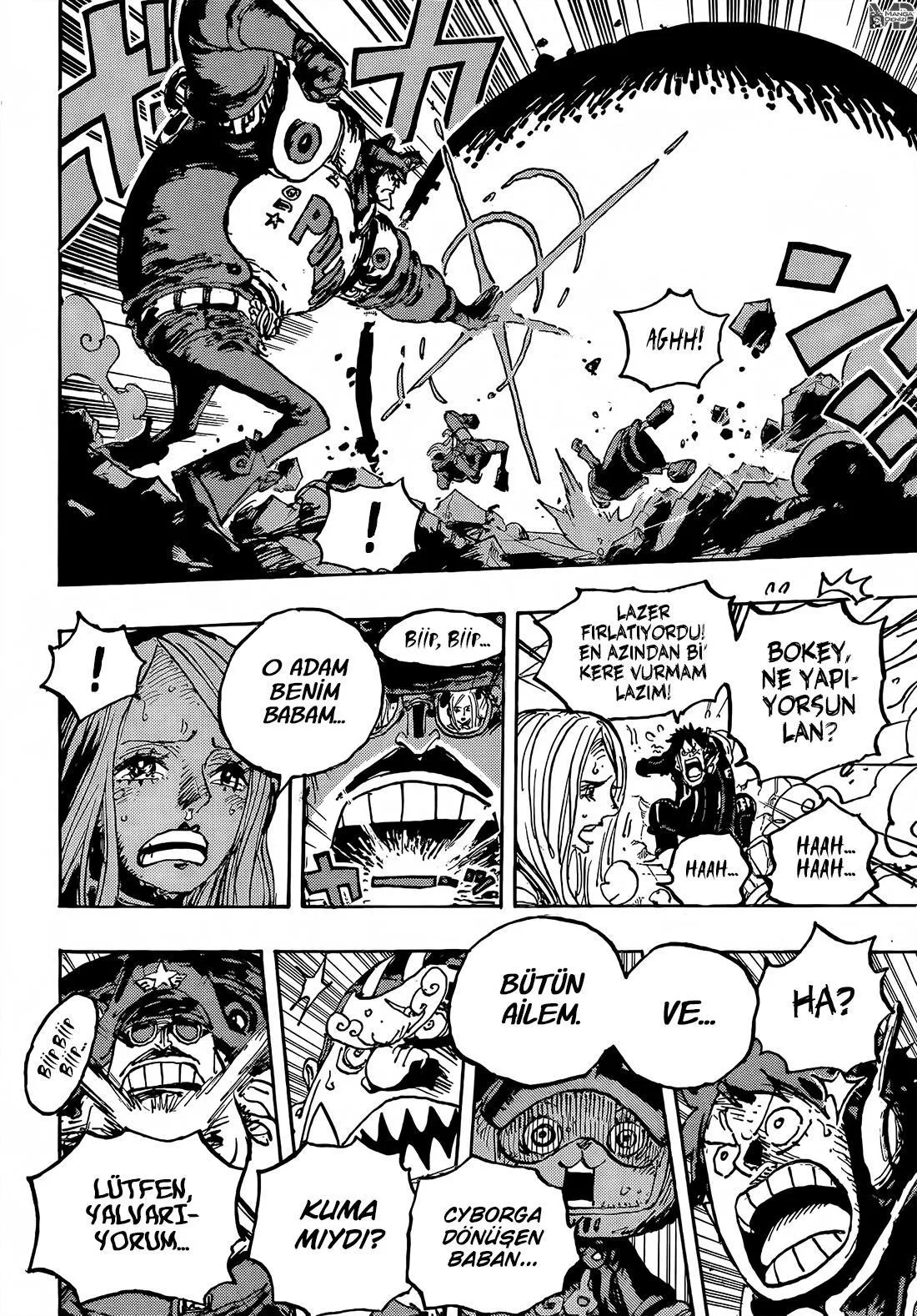 One Piece - Sayfa 8