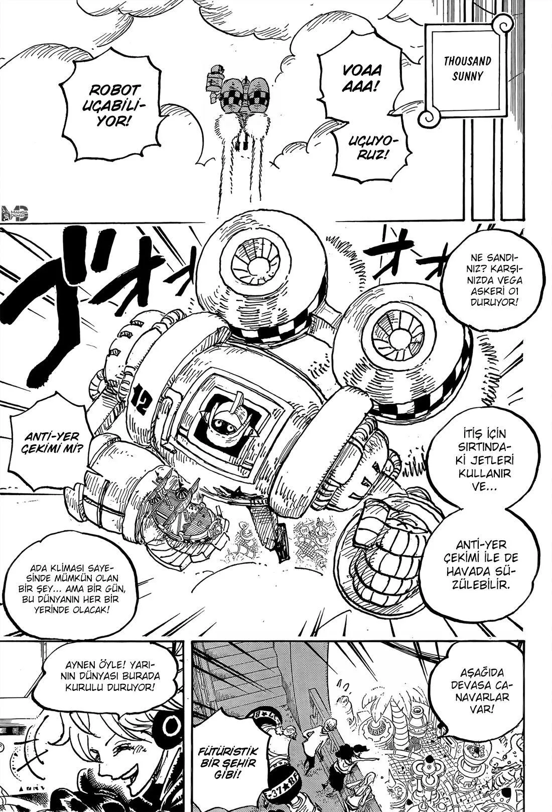 One Piece - Sayfa 13